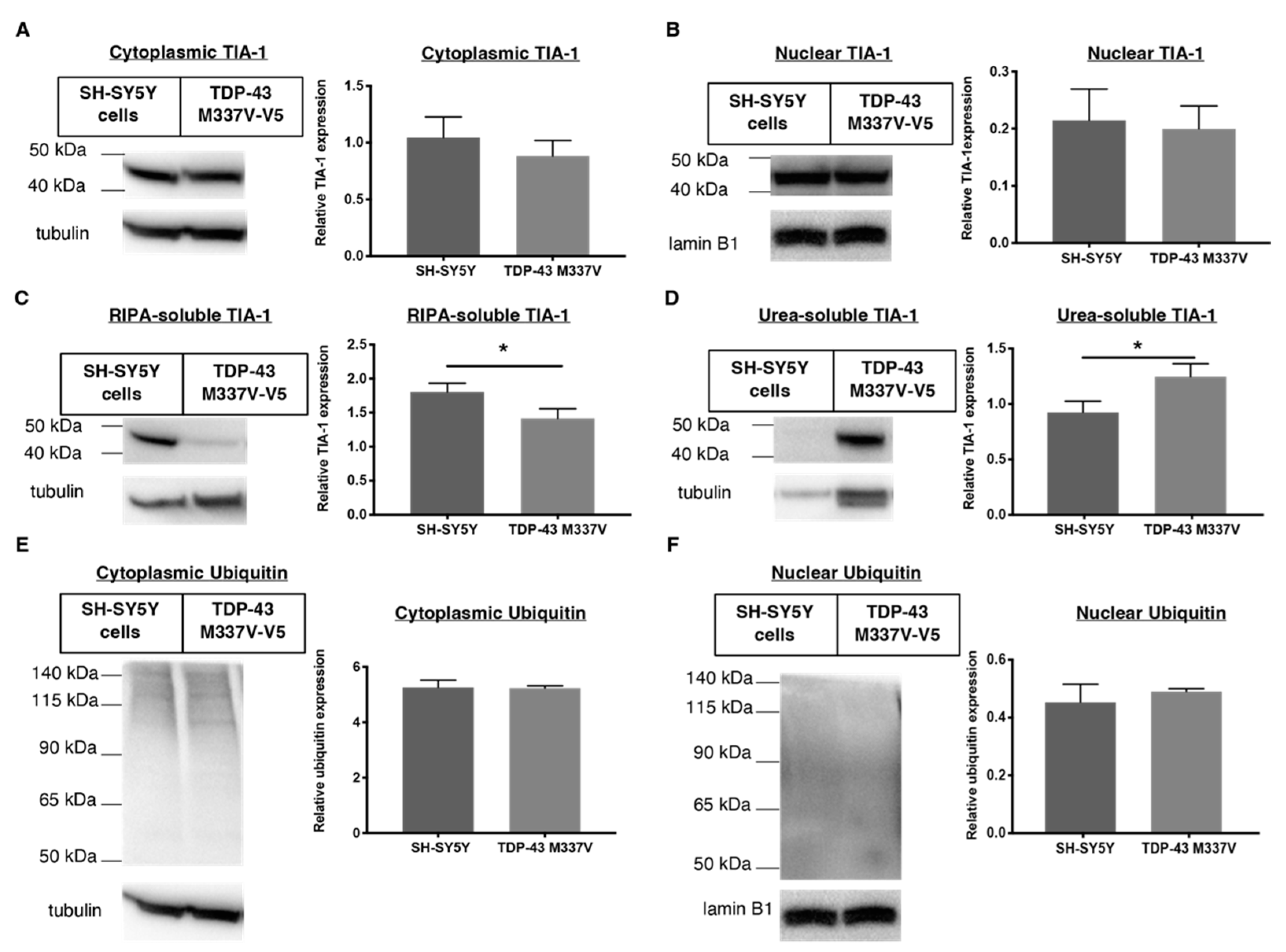 Ijms 23 14769 g006 Ijms 23 14769 g006