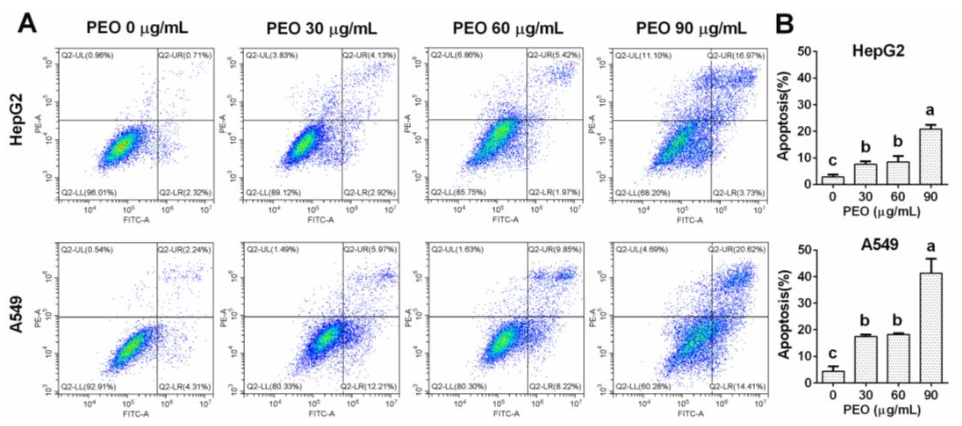 Ijms 23 14790 g004 Ijms 23 14790 g004