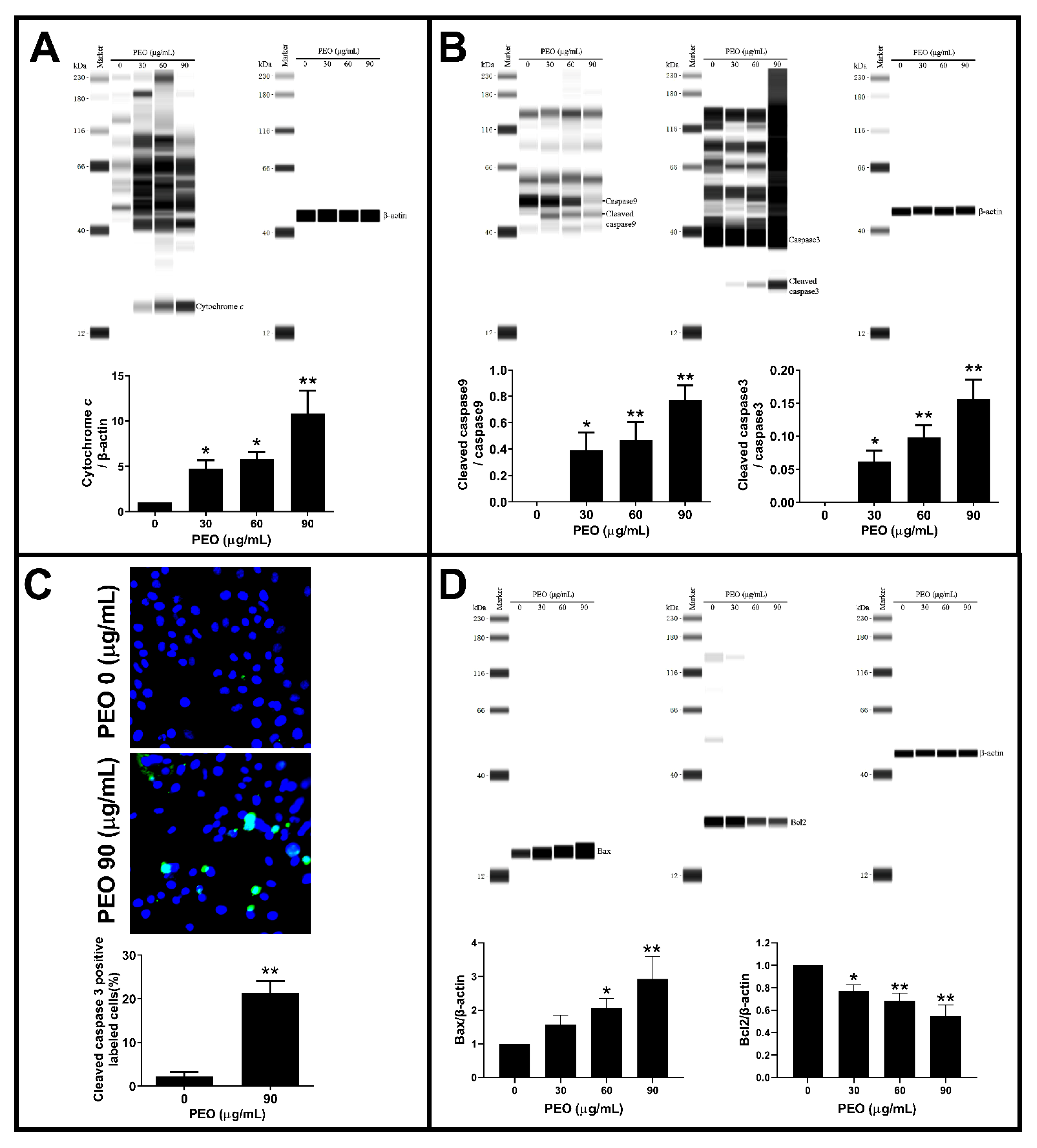 Ijms 23 14790 g009 Ijms 23 14790 g009