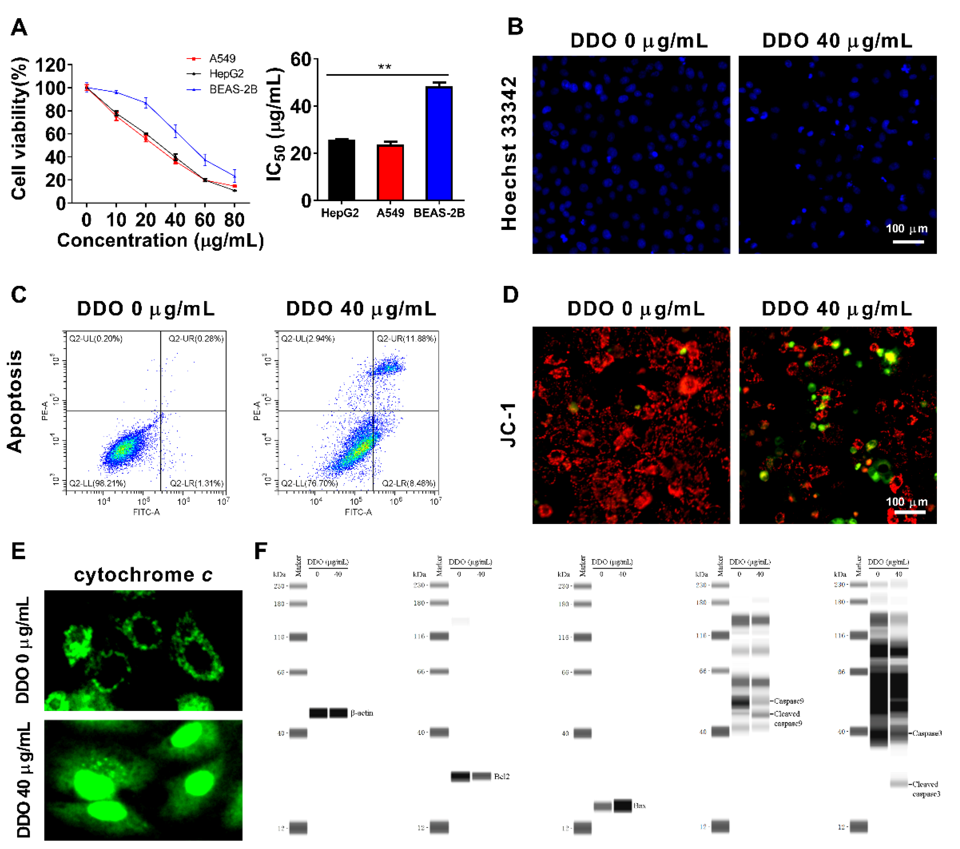 Ijms 23 14790 g010 Ijms 23 14790 g010