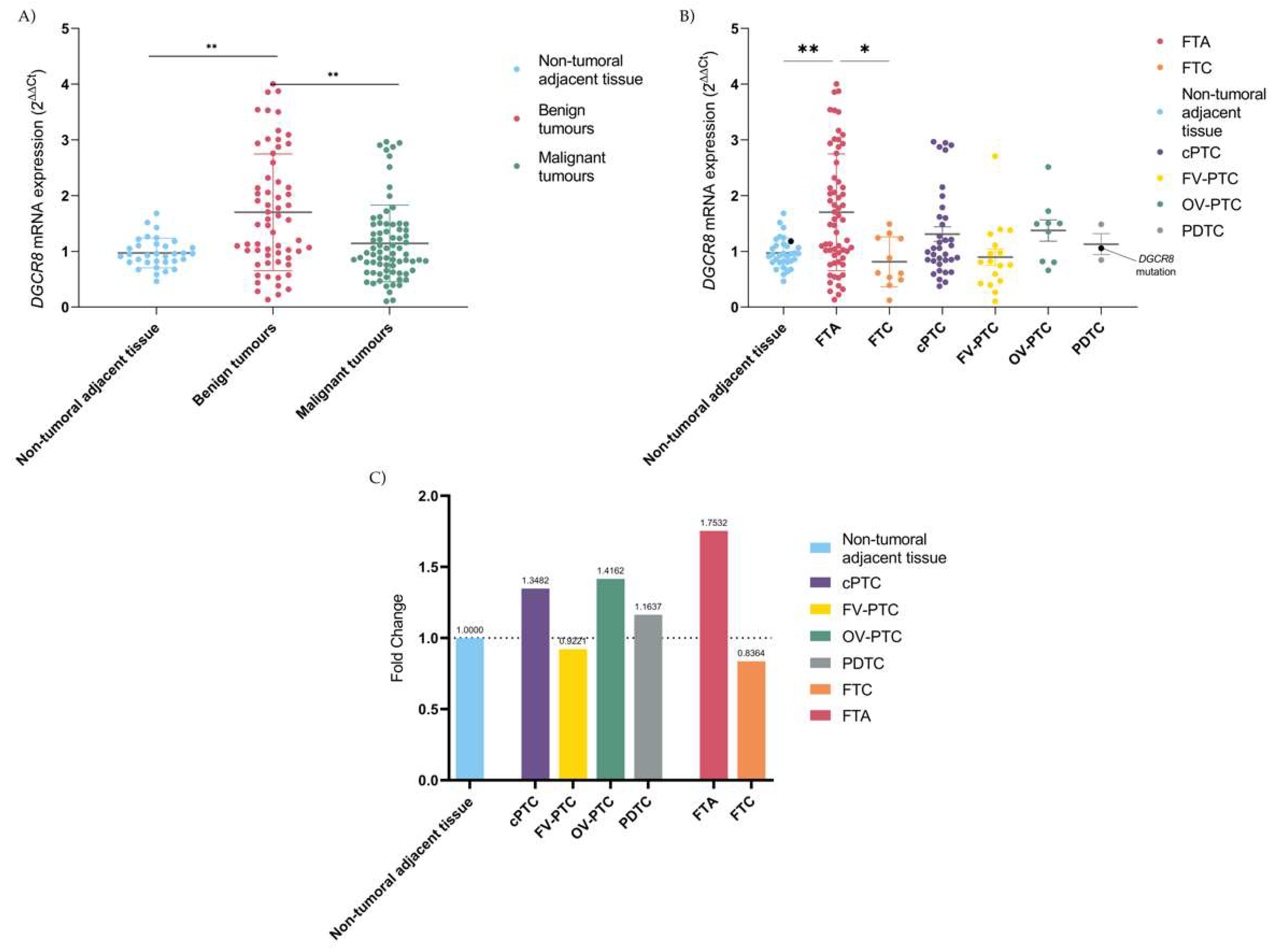 Ijms 23 14812 g001 Ijms 23 14812 g001