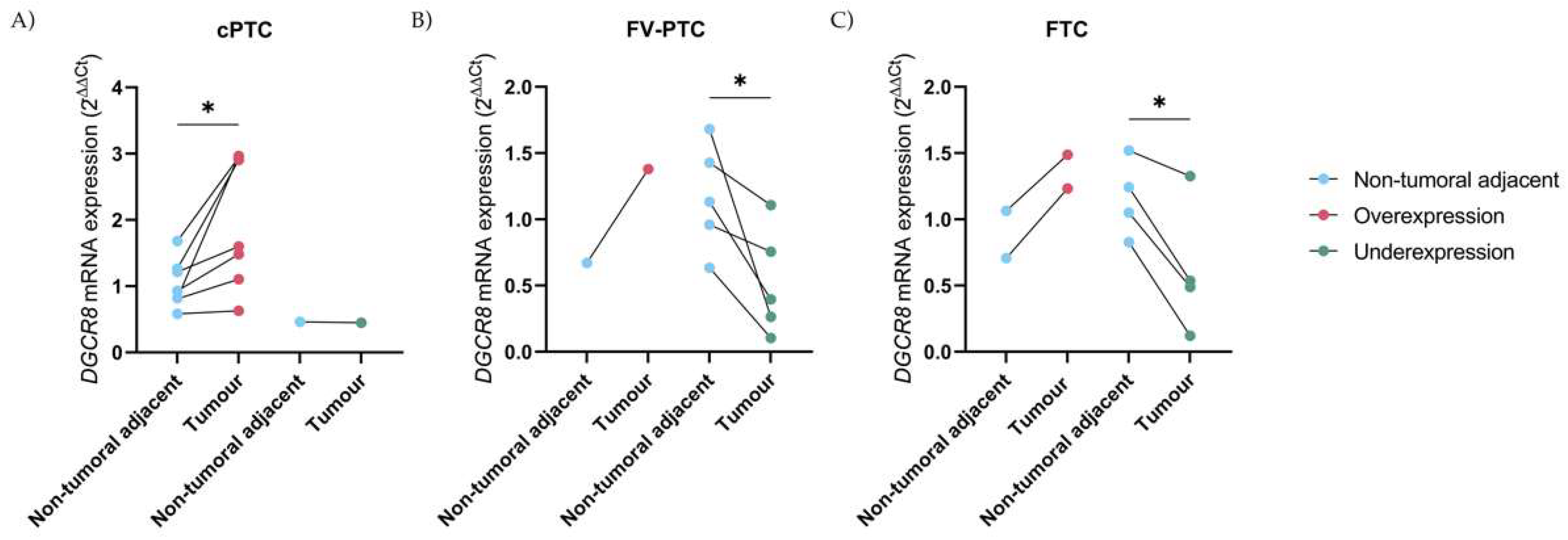 Ijms 23 14812 g002 Ijms 23 14812 g002