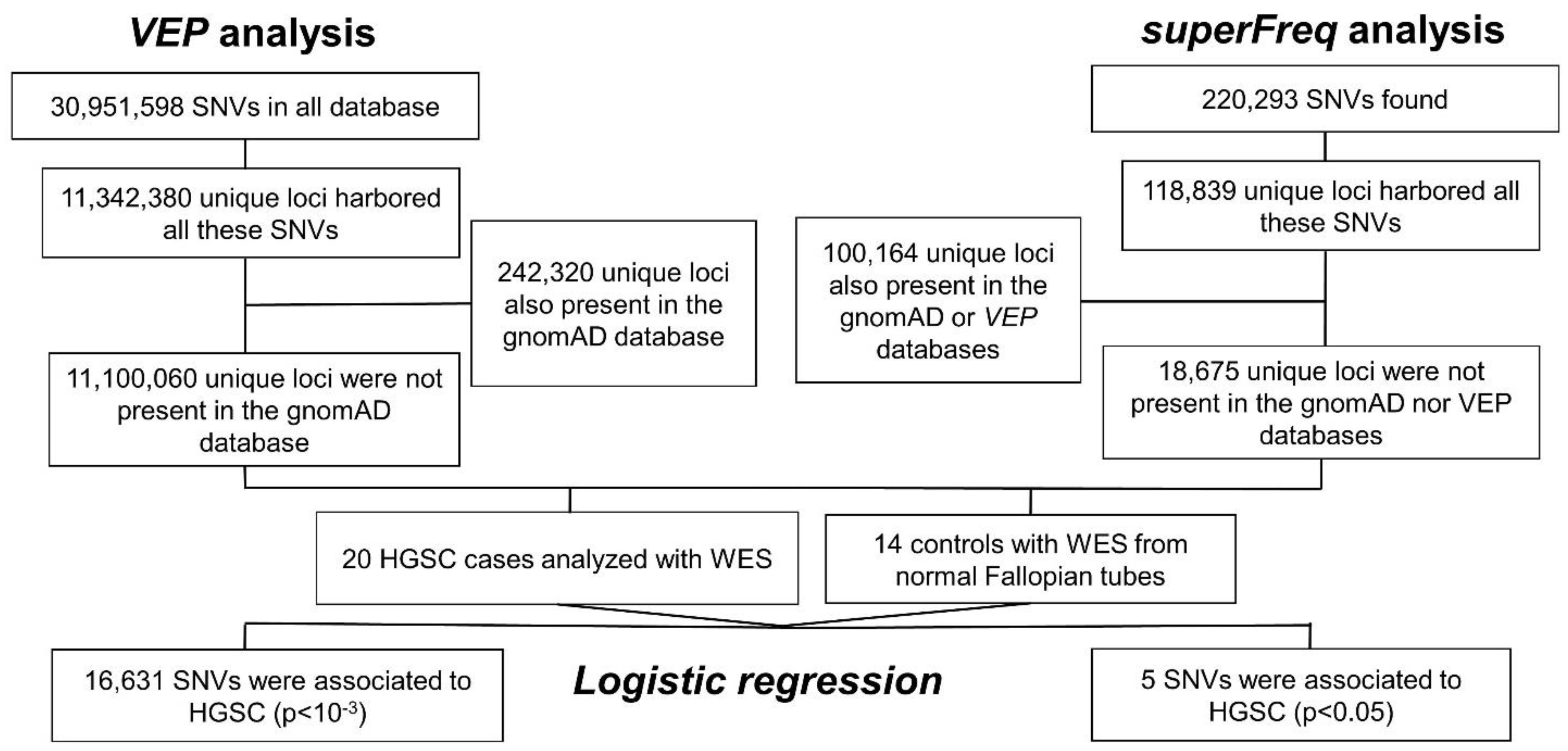 Ijms 23 14814 g001 Ijms 23 14814 g001