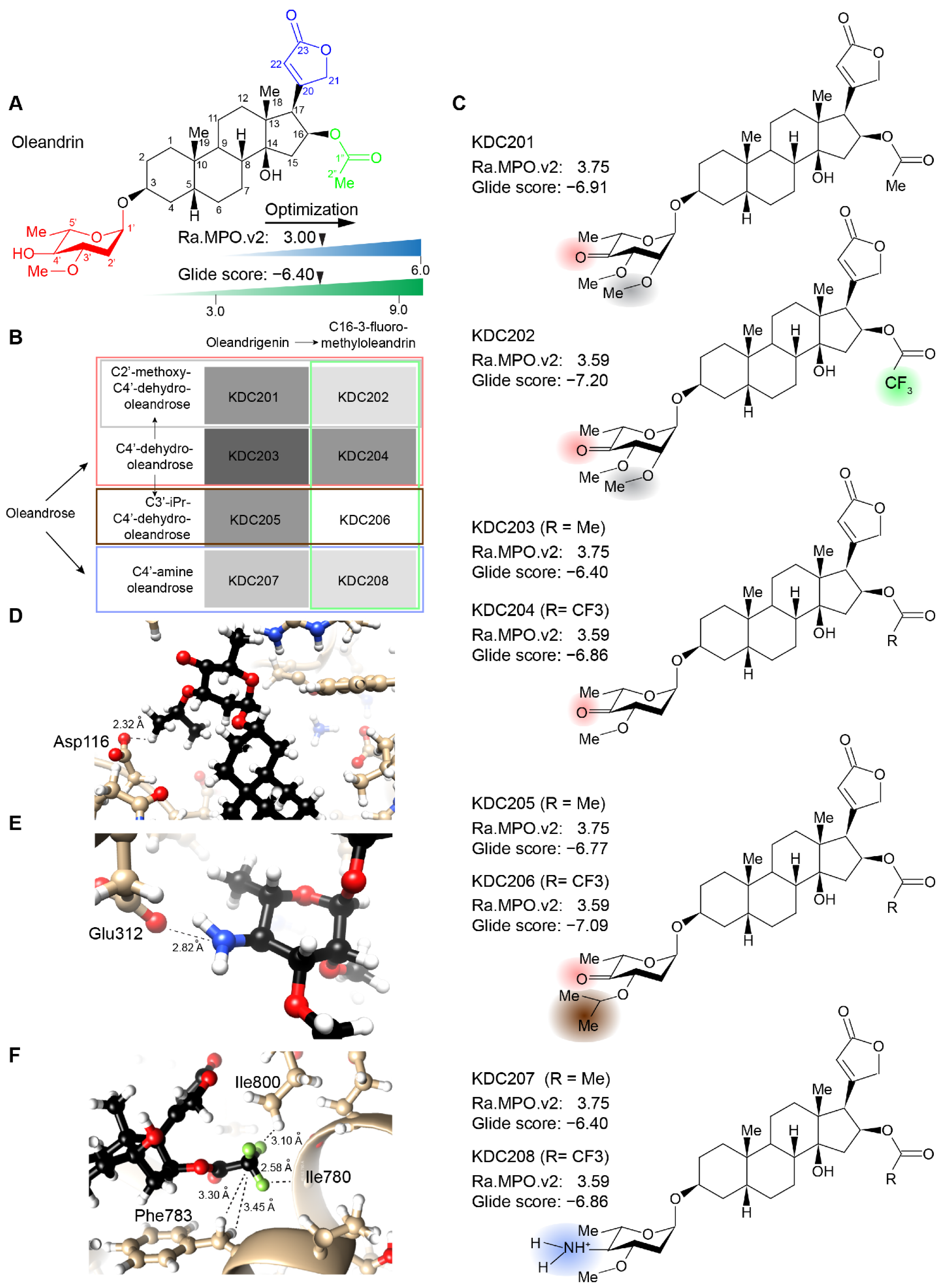 Ijms 23 14823 g004 Ijms 23 14823 g004