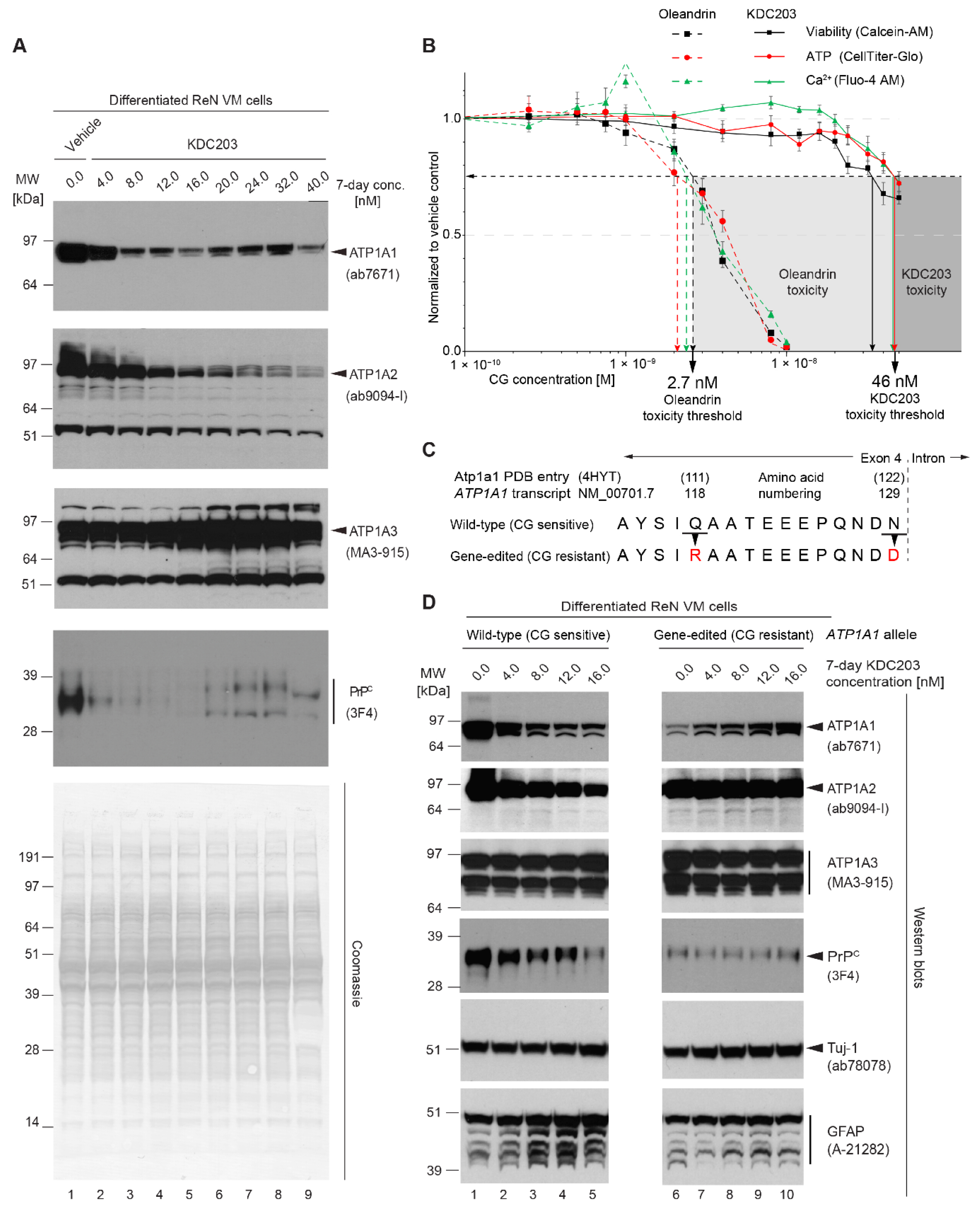 Ijms 23 14823 g007 Ijms 23 14823 g007