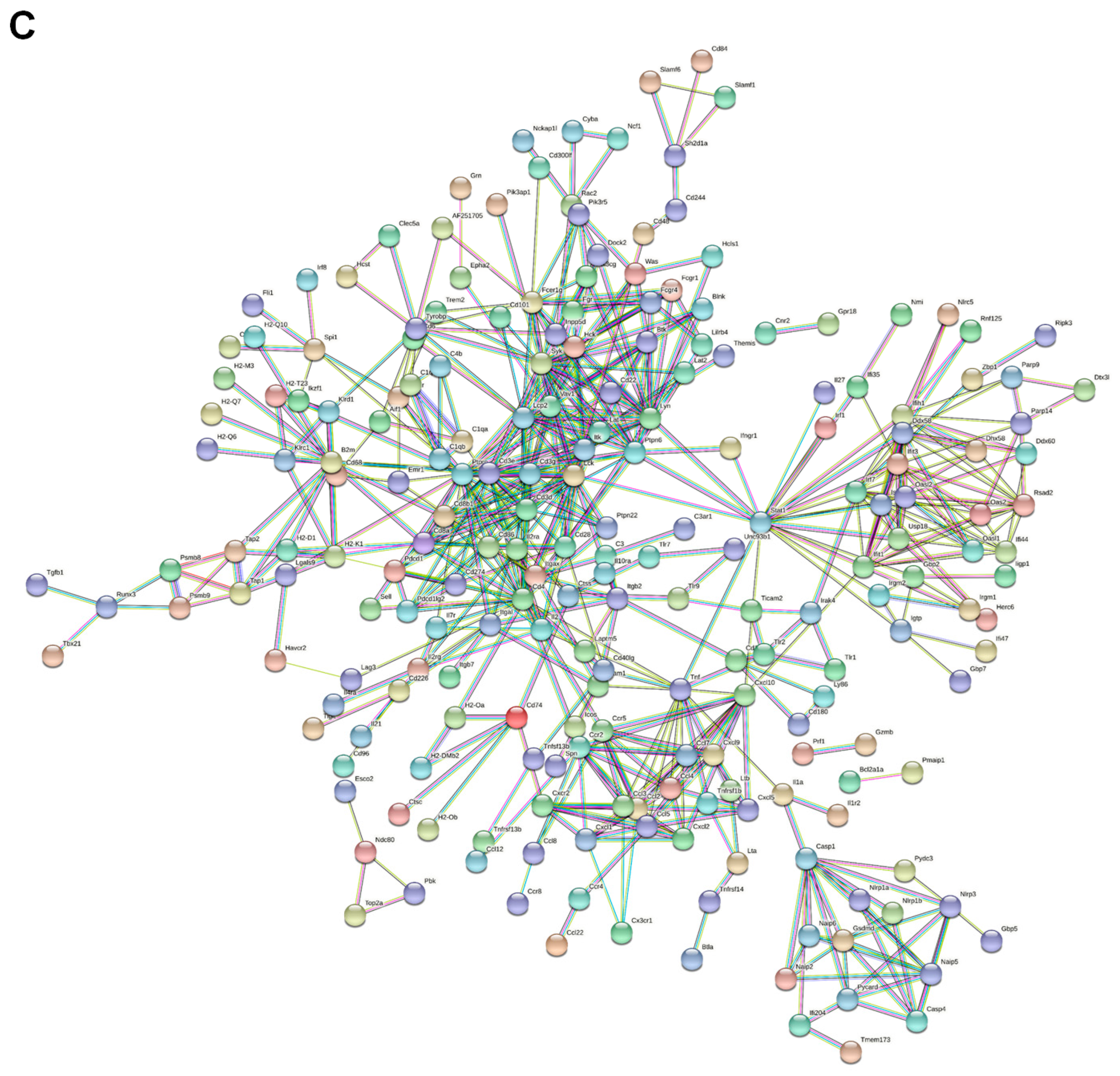 Ijms 23 14829 g001b Ijms 23 14829 g001b