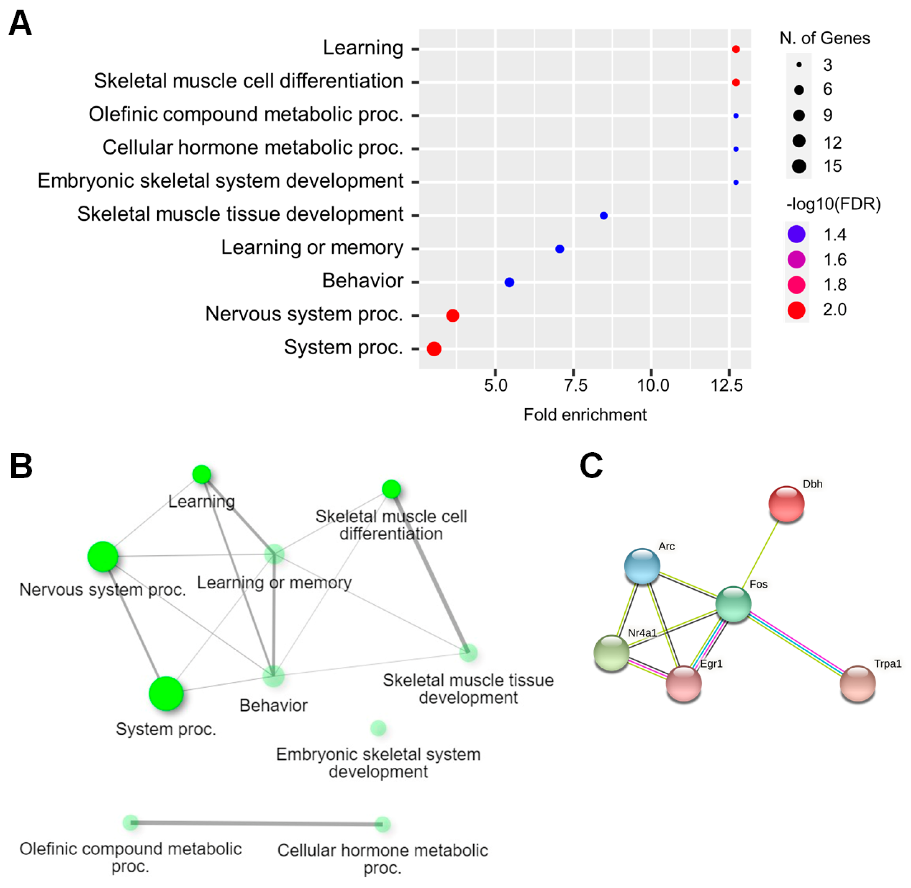 Ijms 23 14829 g002 Ijms 23 14829 g002