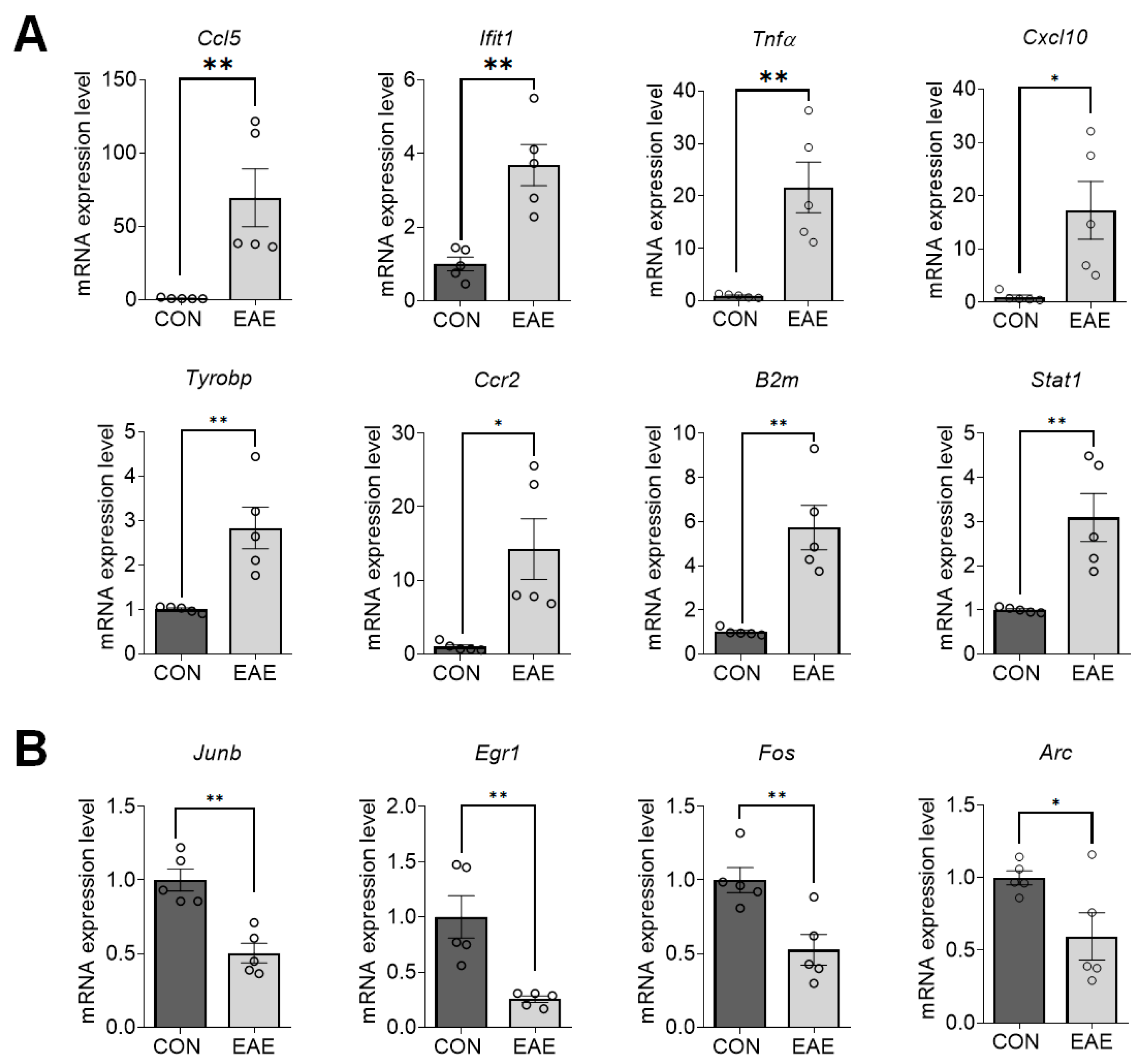 Ijms 23 14829 g003 Ijms 23 14829 g003