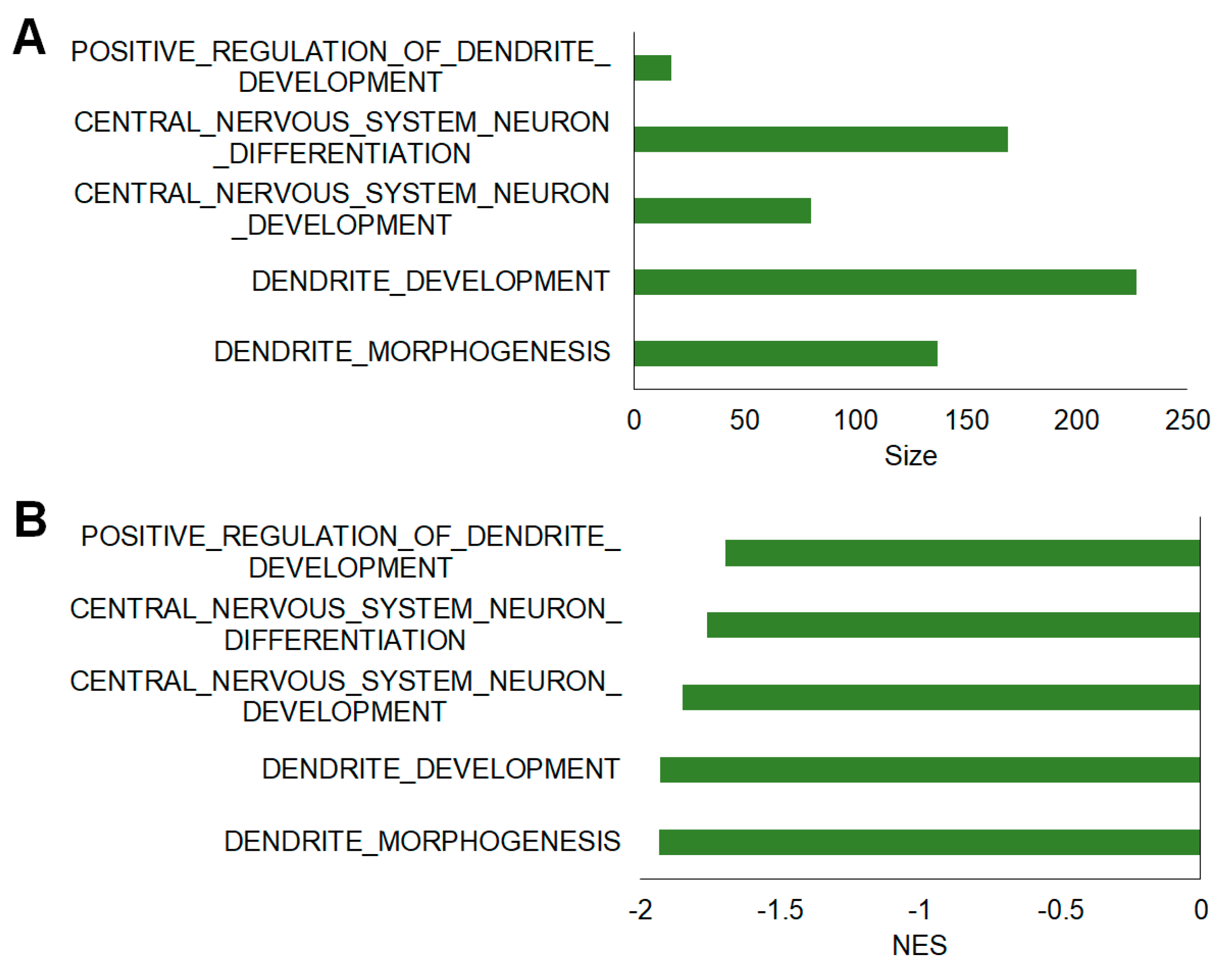 Ijms 23 14829 g005 Ijms 23 14829 g005