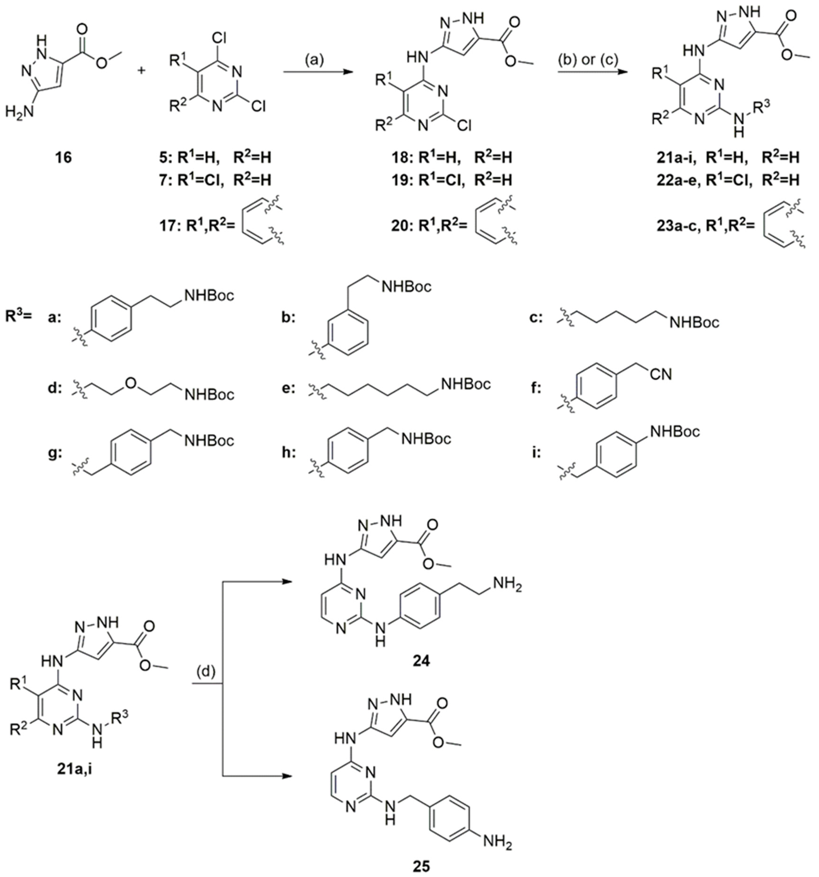 Ijms 23 14834 sch002
