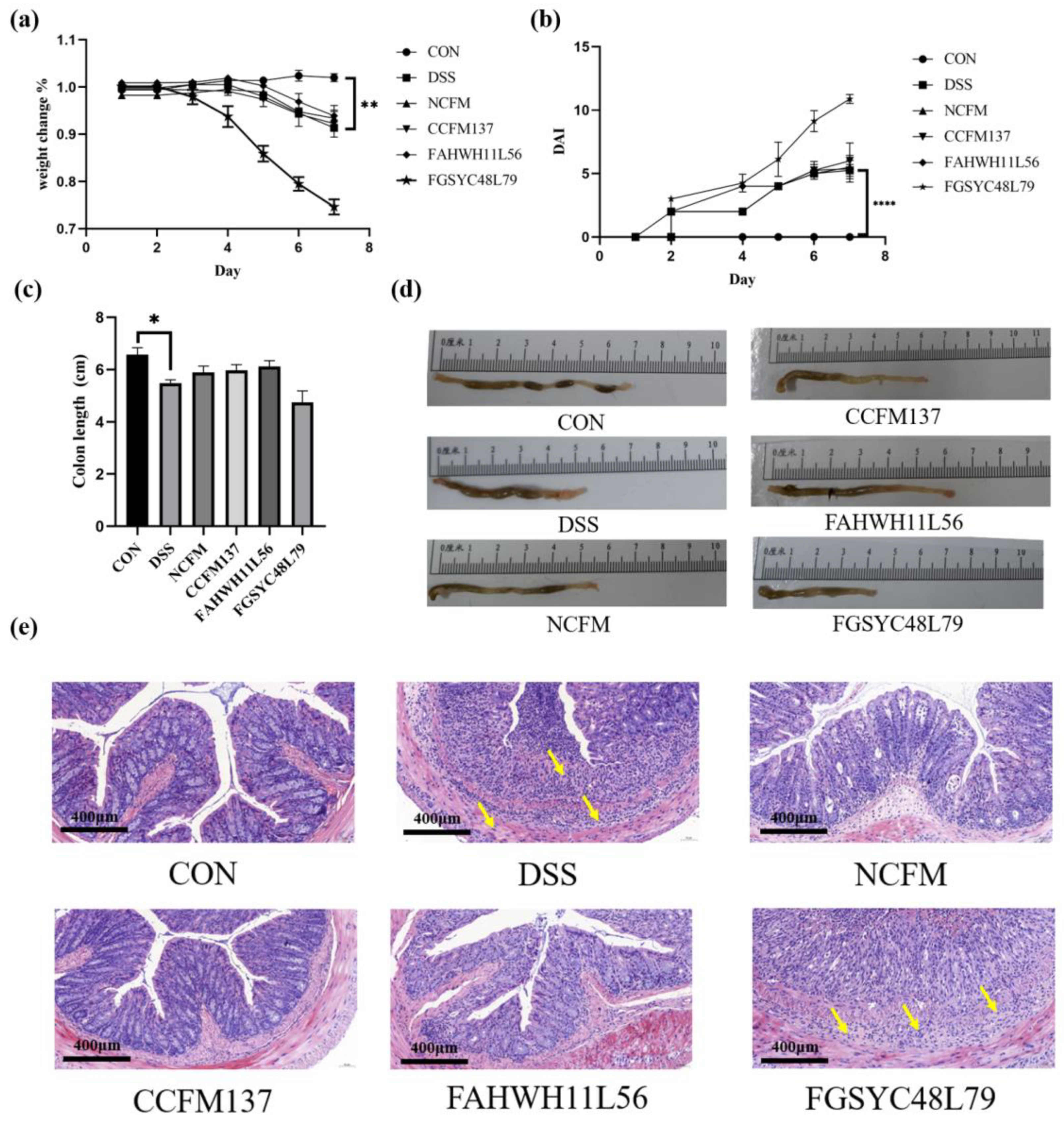 Ijms 23 14841 g001 Ijms 23 14841 g001