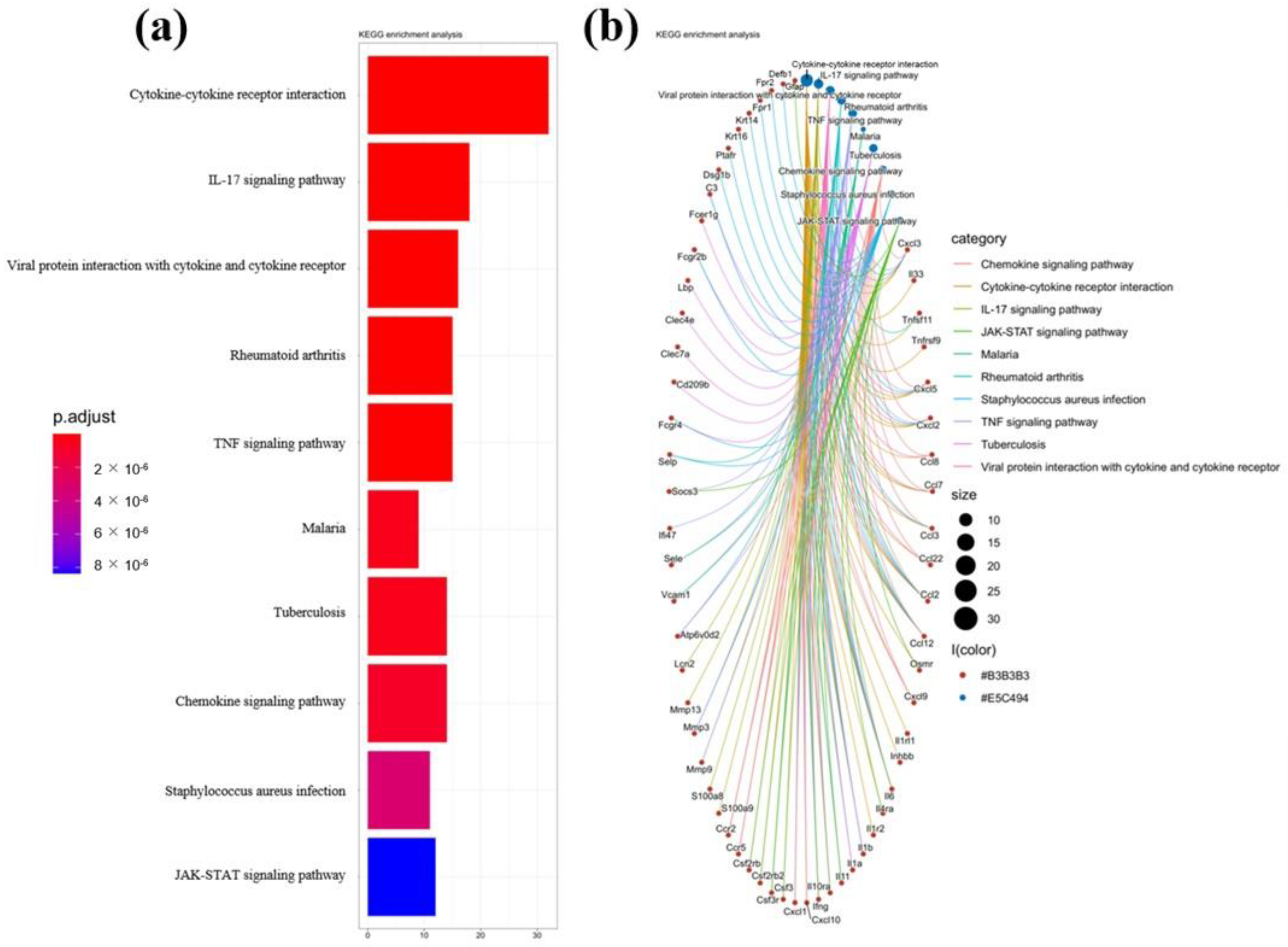 Ijms 23 14841 g003 Ijms 23 14841 g003