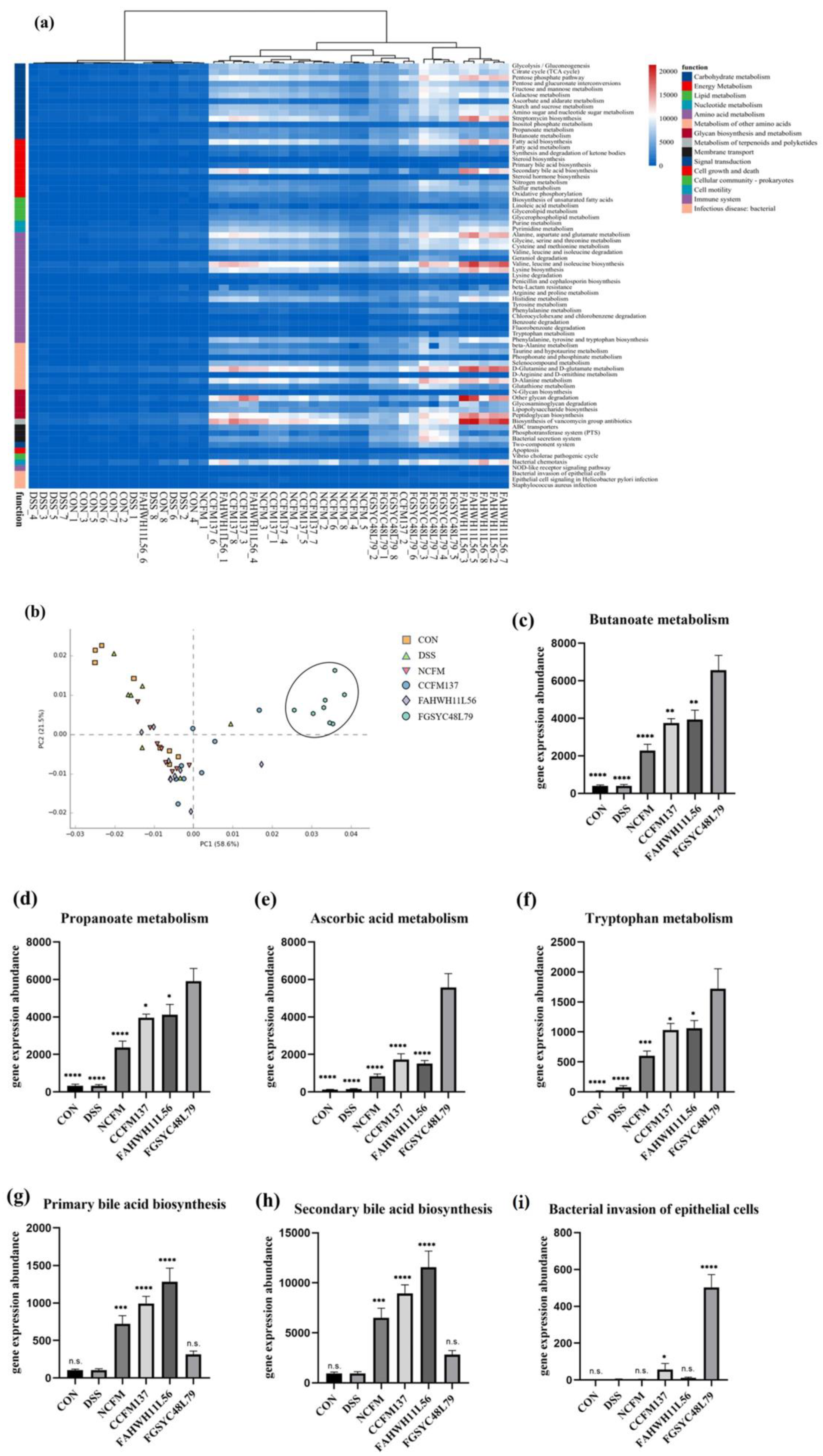 Ijms 23 14841 g007 Ijms 23 14841 g007