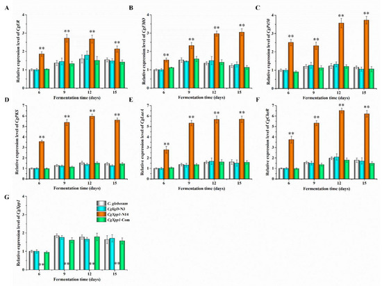 Identification of a Novel Pleiotropic Transcriptional