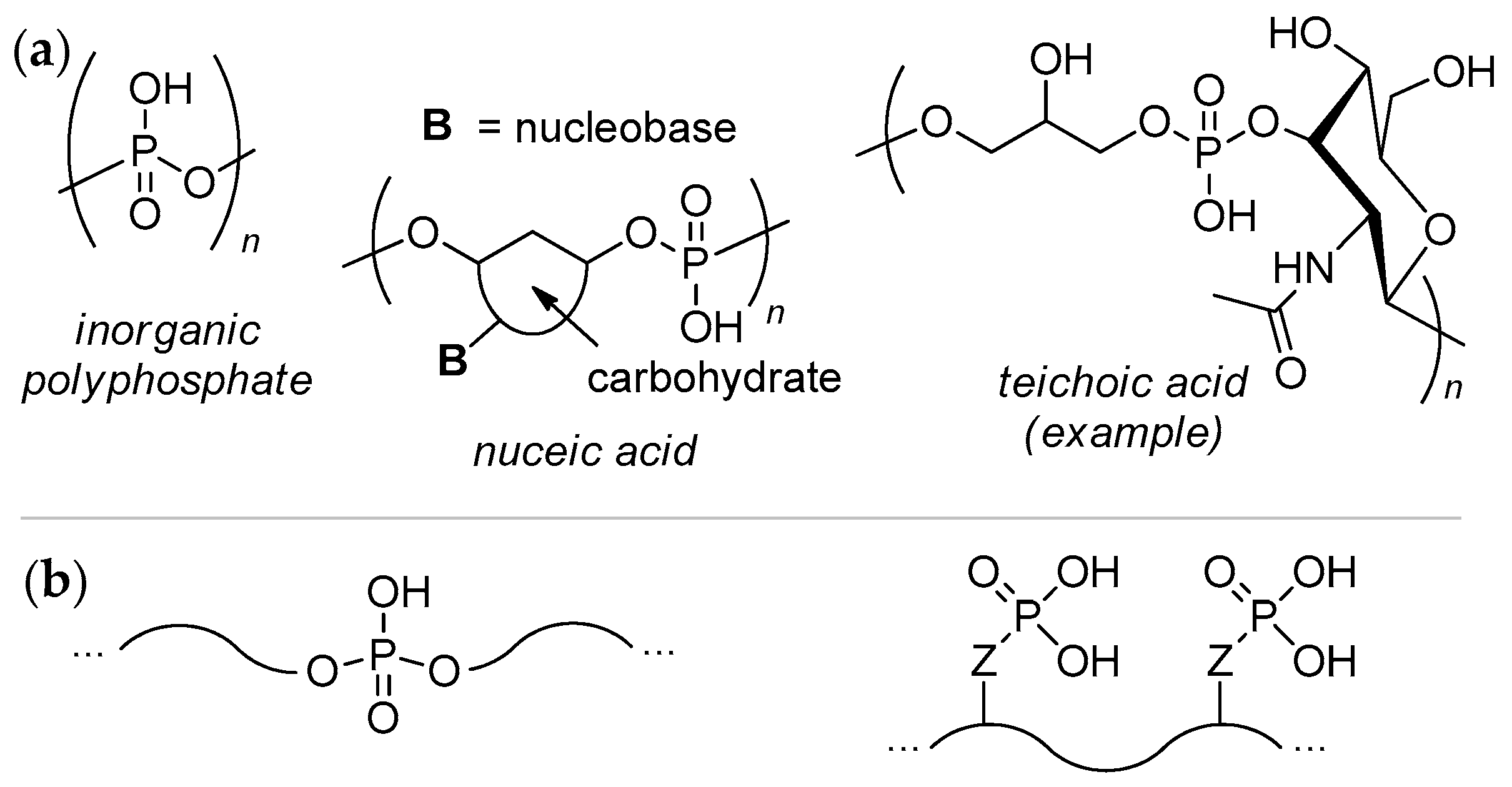 Ijms 23 14857 sch001