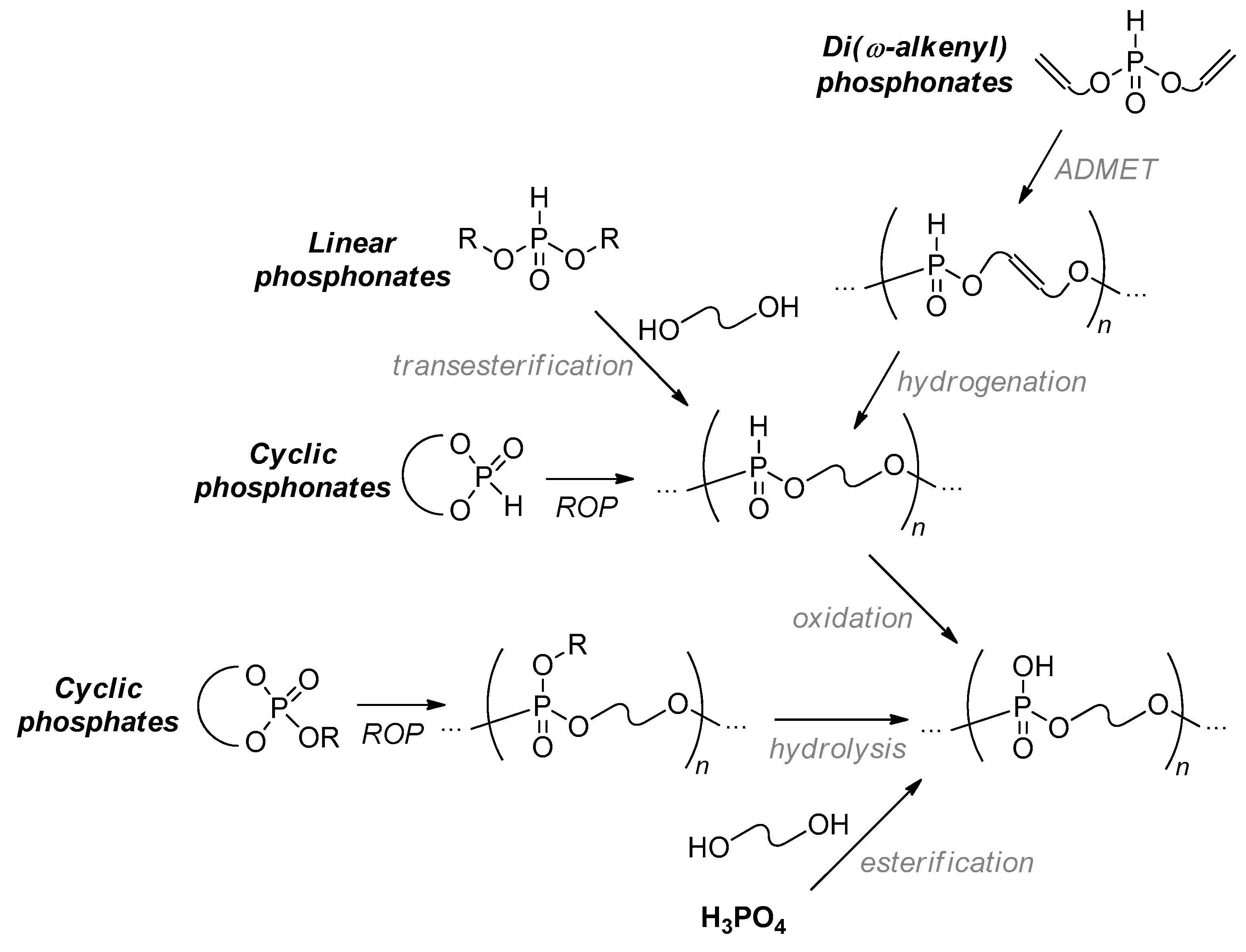 Ijms 23 14857 sch002