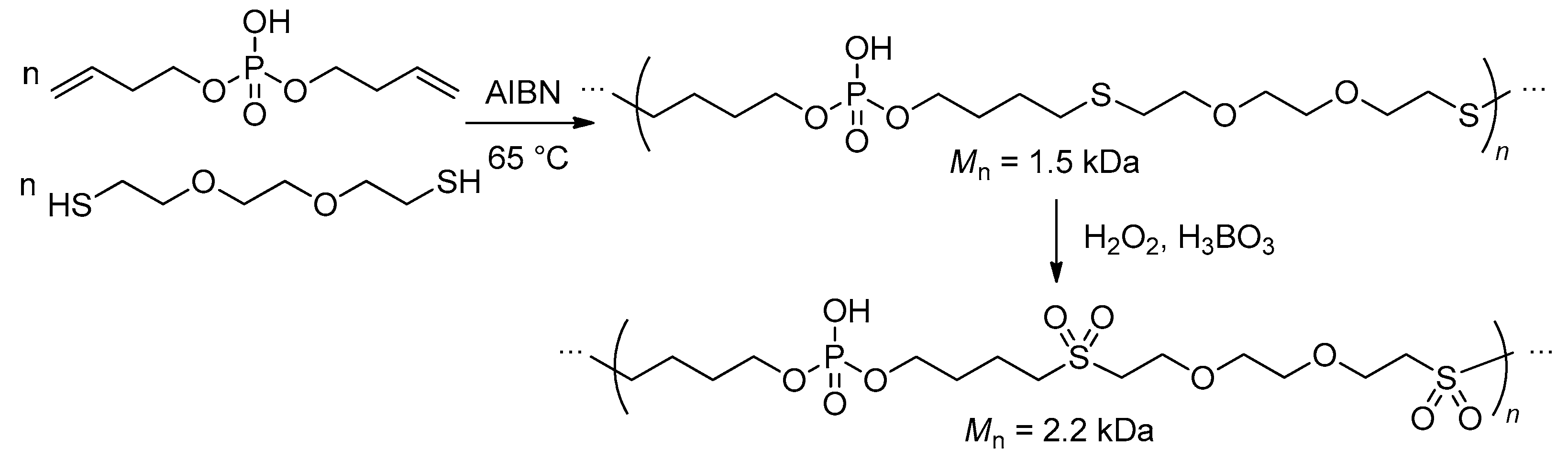 Ijms 23 14857 sch025
