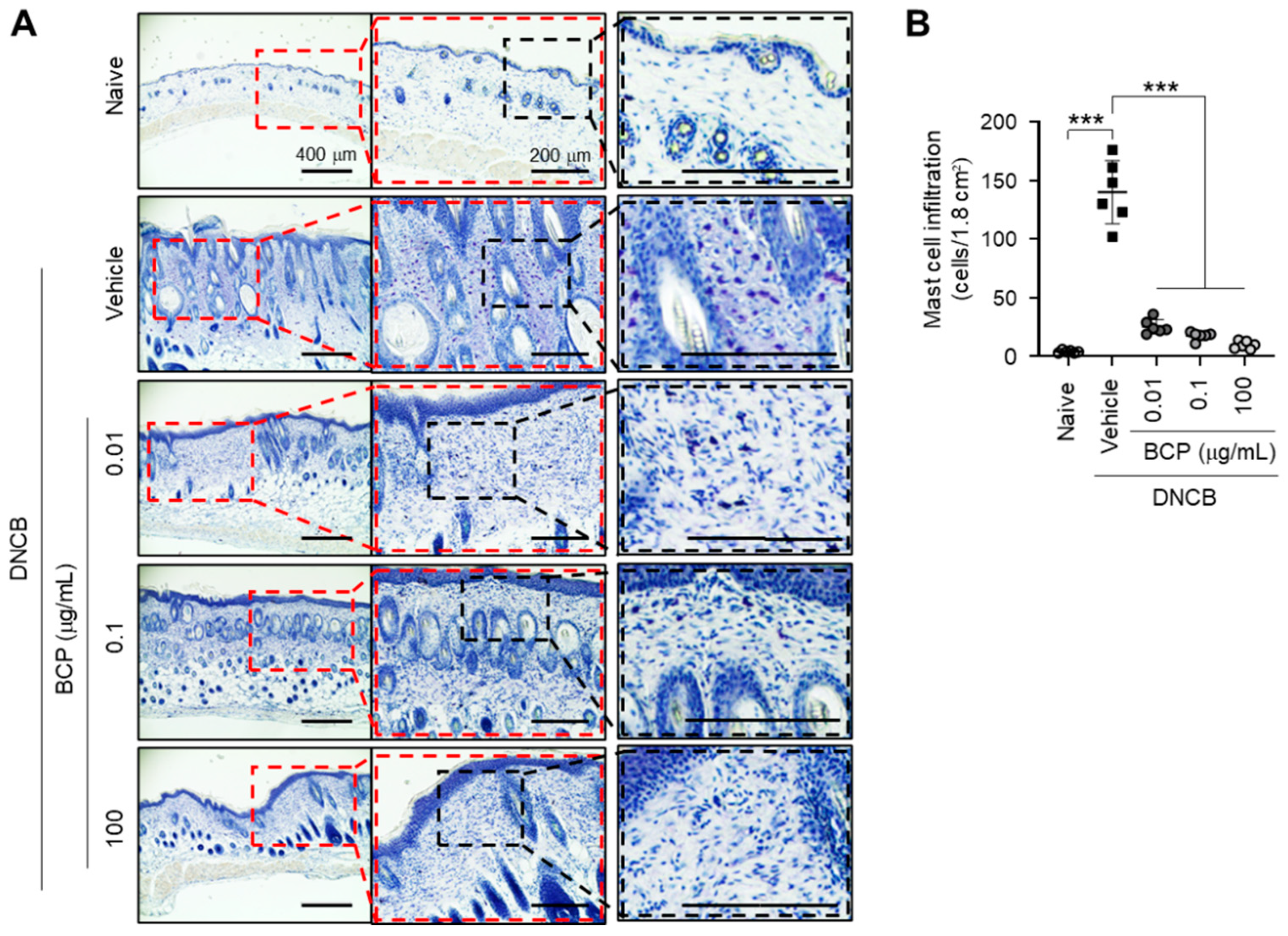 Ijms 23 14861 g002 Ijms 23 14861 g002