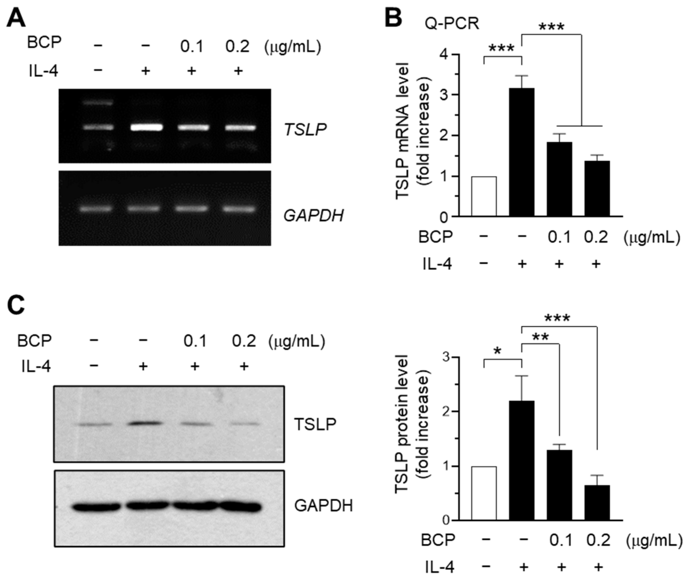 Ijms 23 14861 g003 Ijms 23 14861 g003