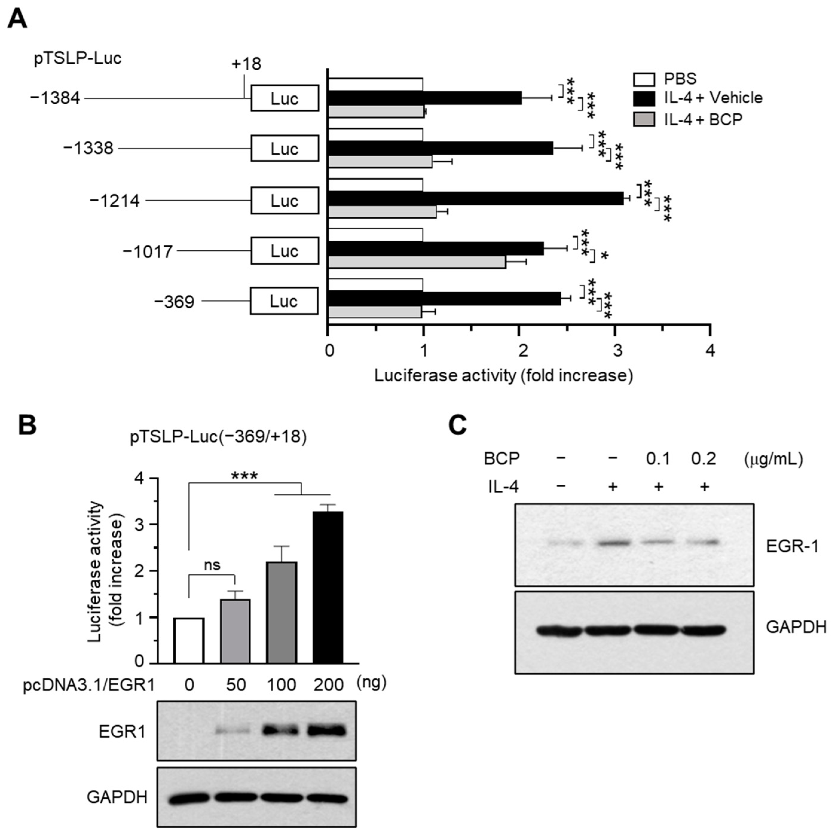 Ijms 23 14861 g004 Ijms 23 14861 g004