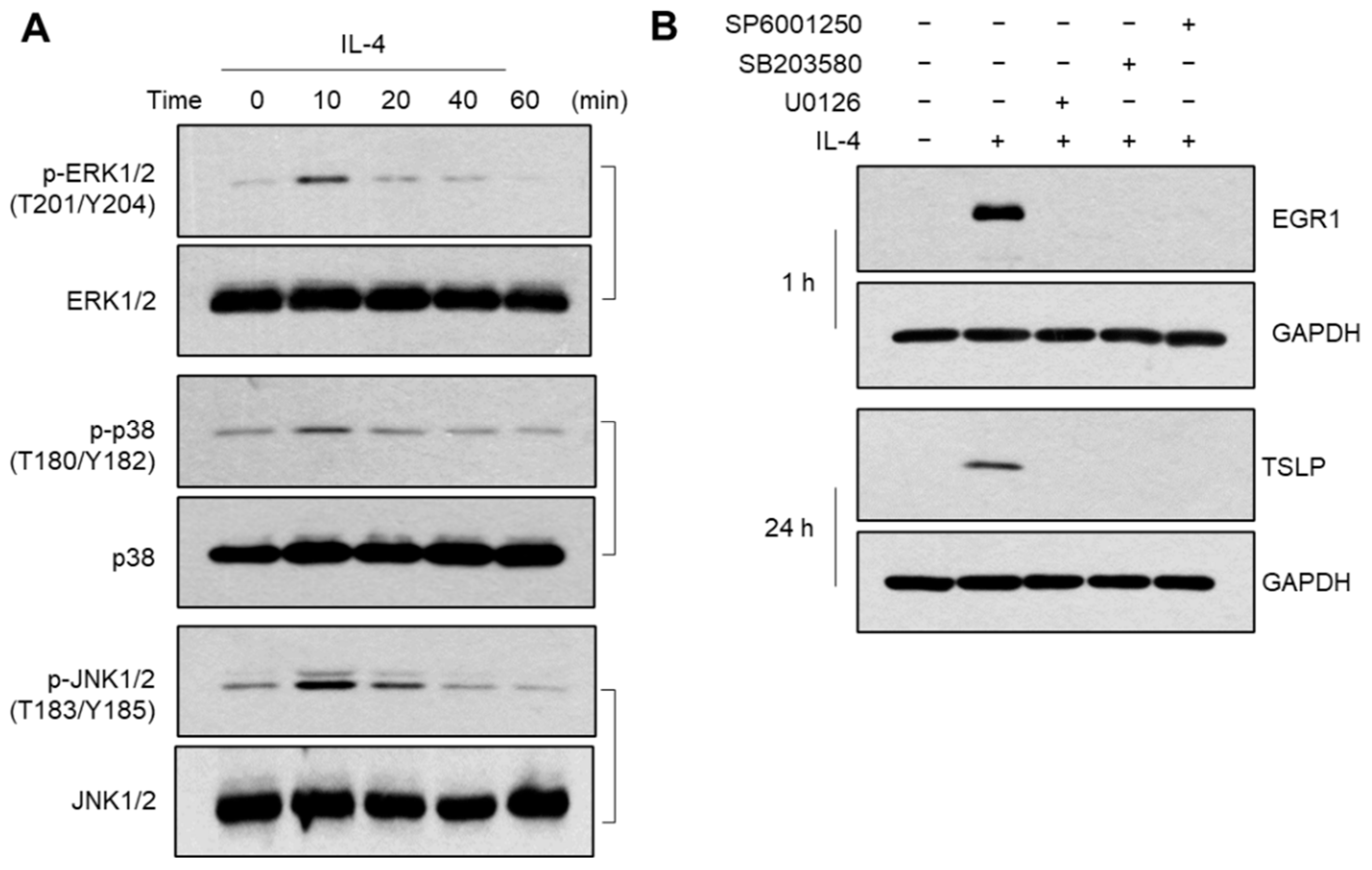 Ijms 23 14861 g005 Ijms 23 14861 g005