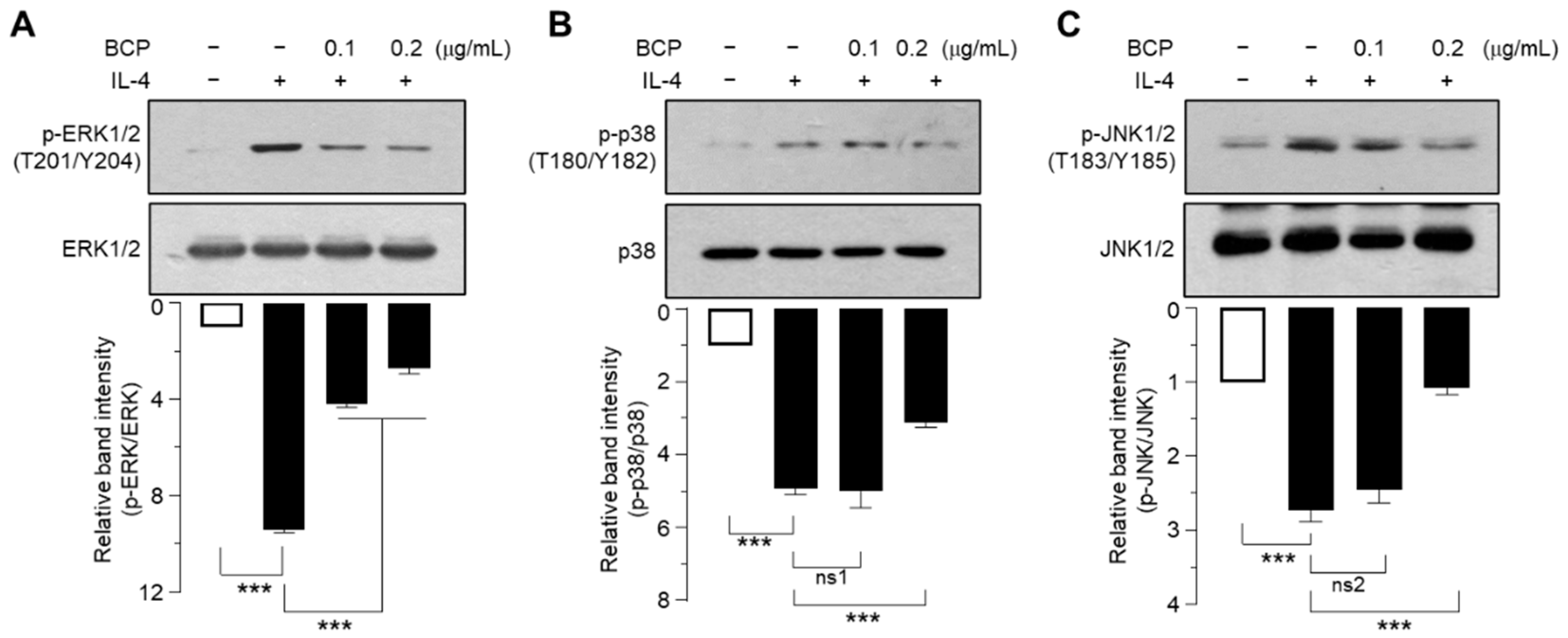 Ijms 23 14861 g006 Ijms 23 14861 g006