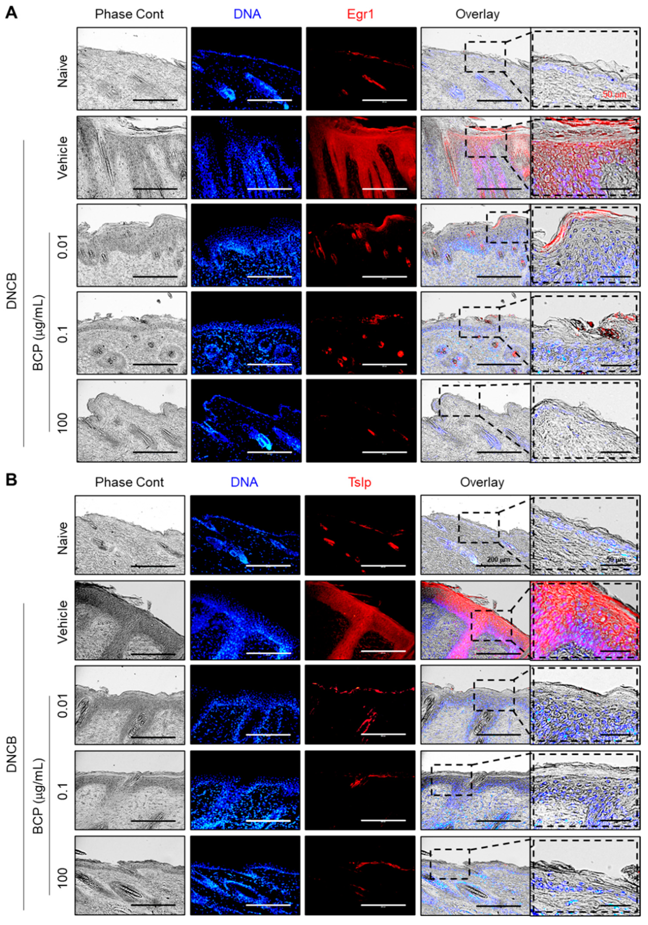 Ijms 23 14861 g007 Ijms 23 14861 g007