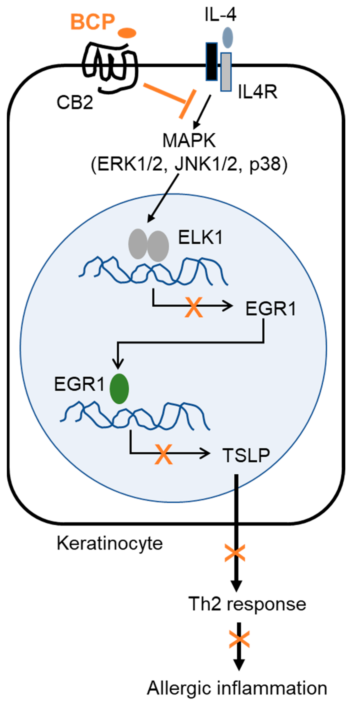 Ijms 23 14861 g008 Ijms 23 14861 g008