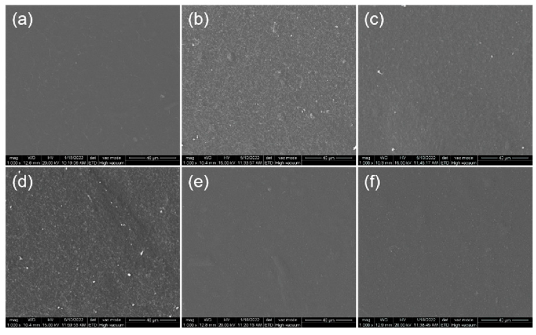 Ijms 23 14863 g002 Ijms 23 14863 g002