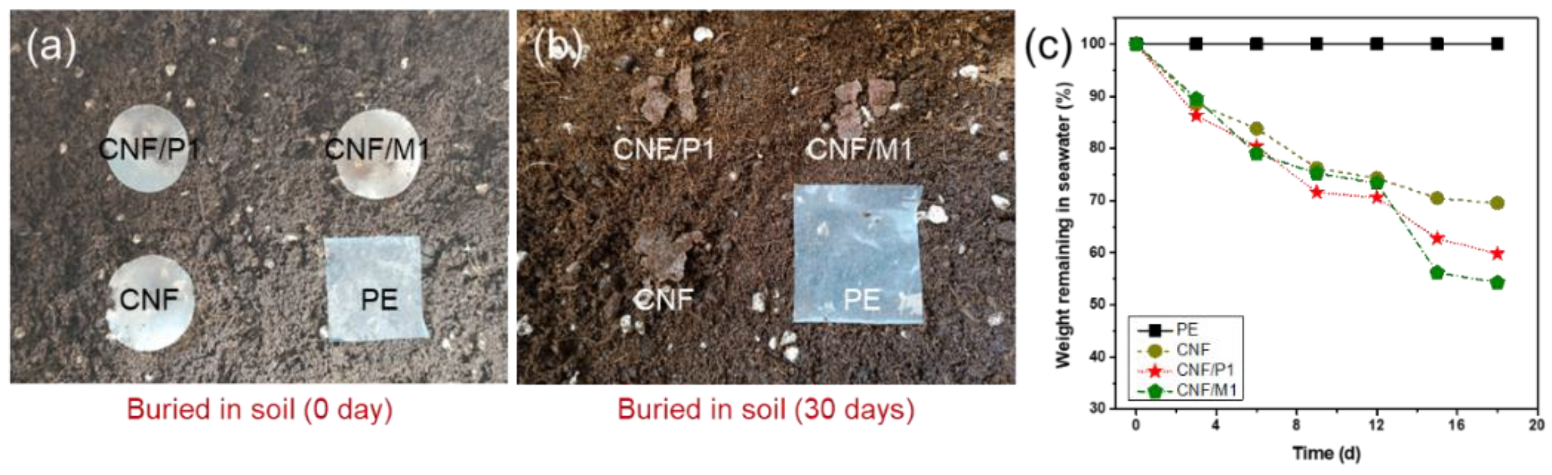 Ijms 23 14863 g006 Ijms 23 14863 g006