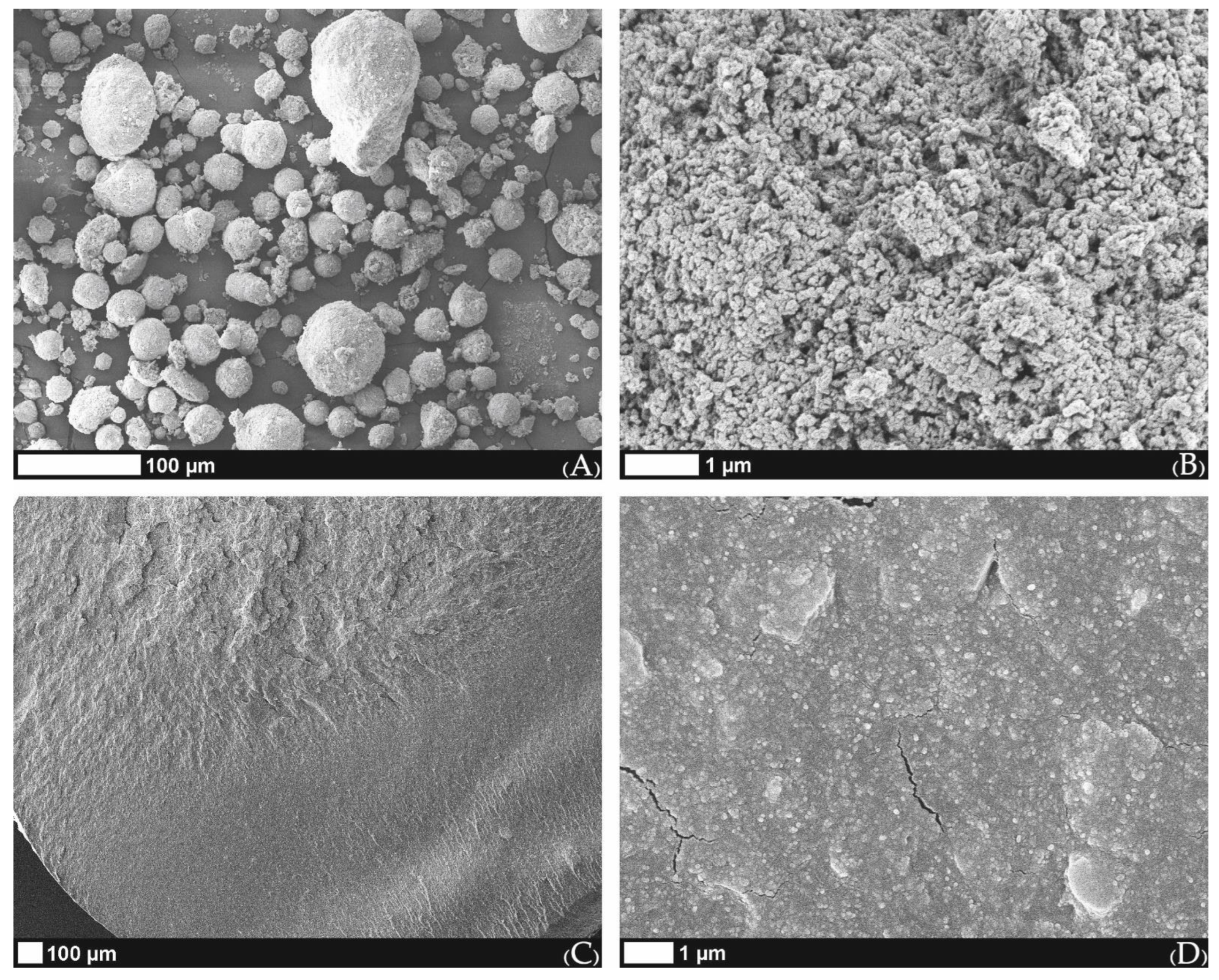 Ijms 23 14870 g004 Ijms 23 14870 g004