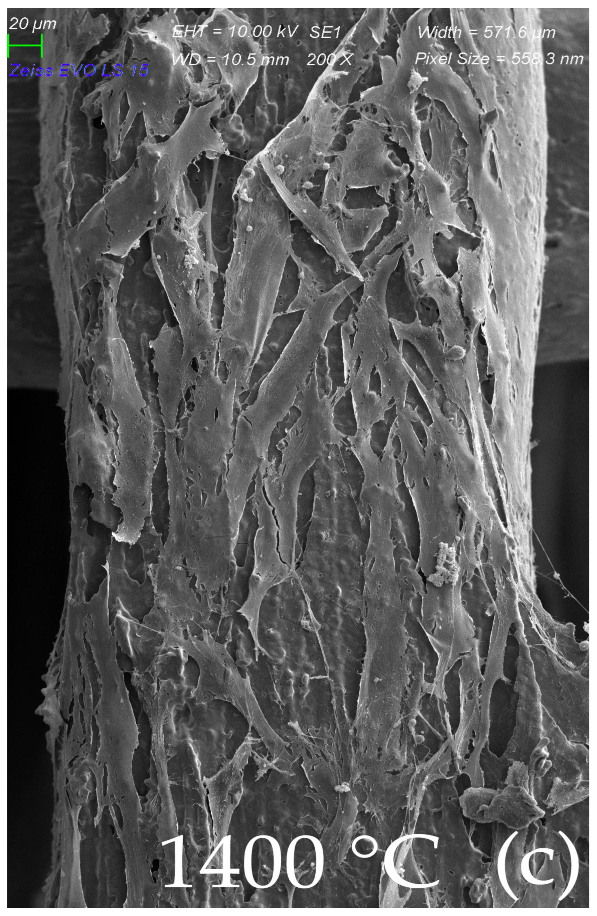 Ijms 23 14870 g008c Ijms 23 14870 g008c