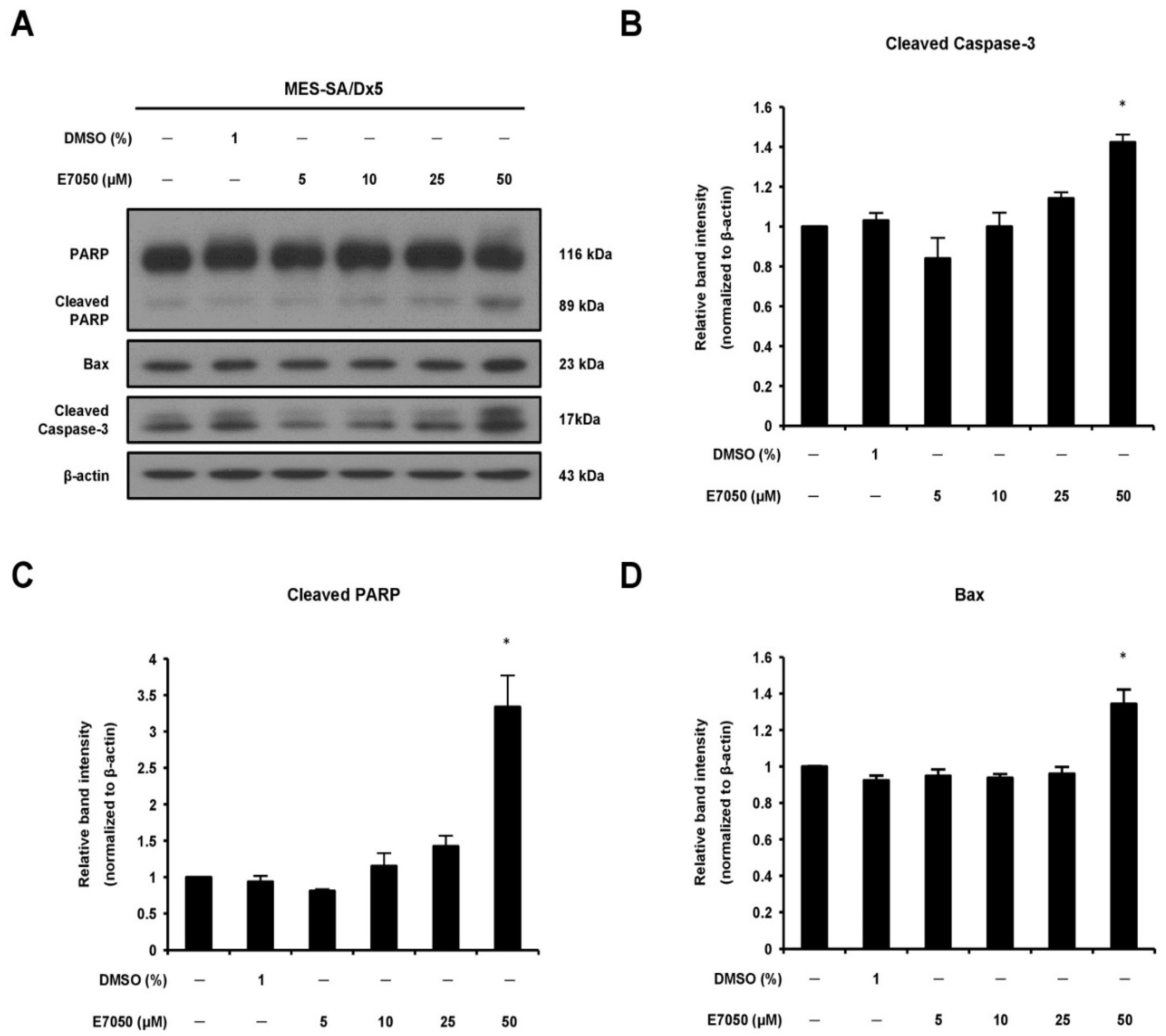 Ijms 23 14884 g002 Ijms 23 14884 g002