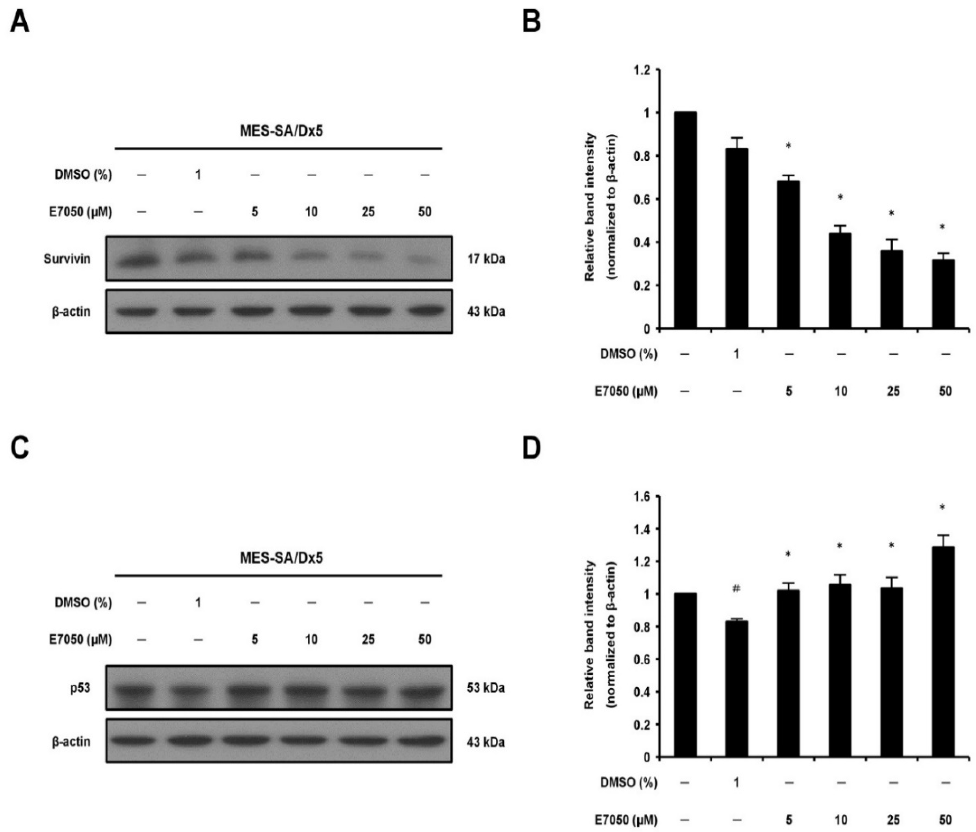 Ijms 23 14884 g003 Ijms 23 14884 g003