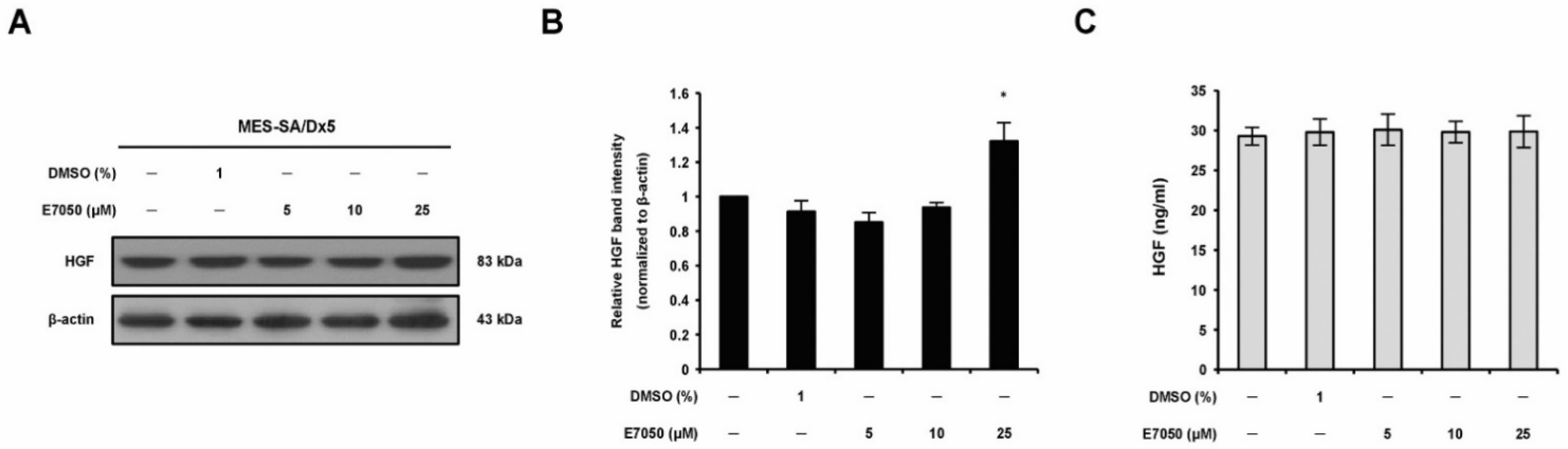 Ijms 23 14884 g004 Ijms 23 14884 g004
