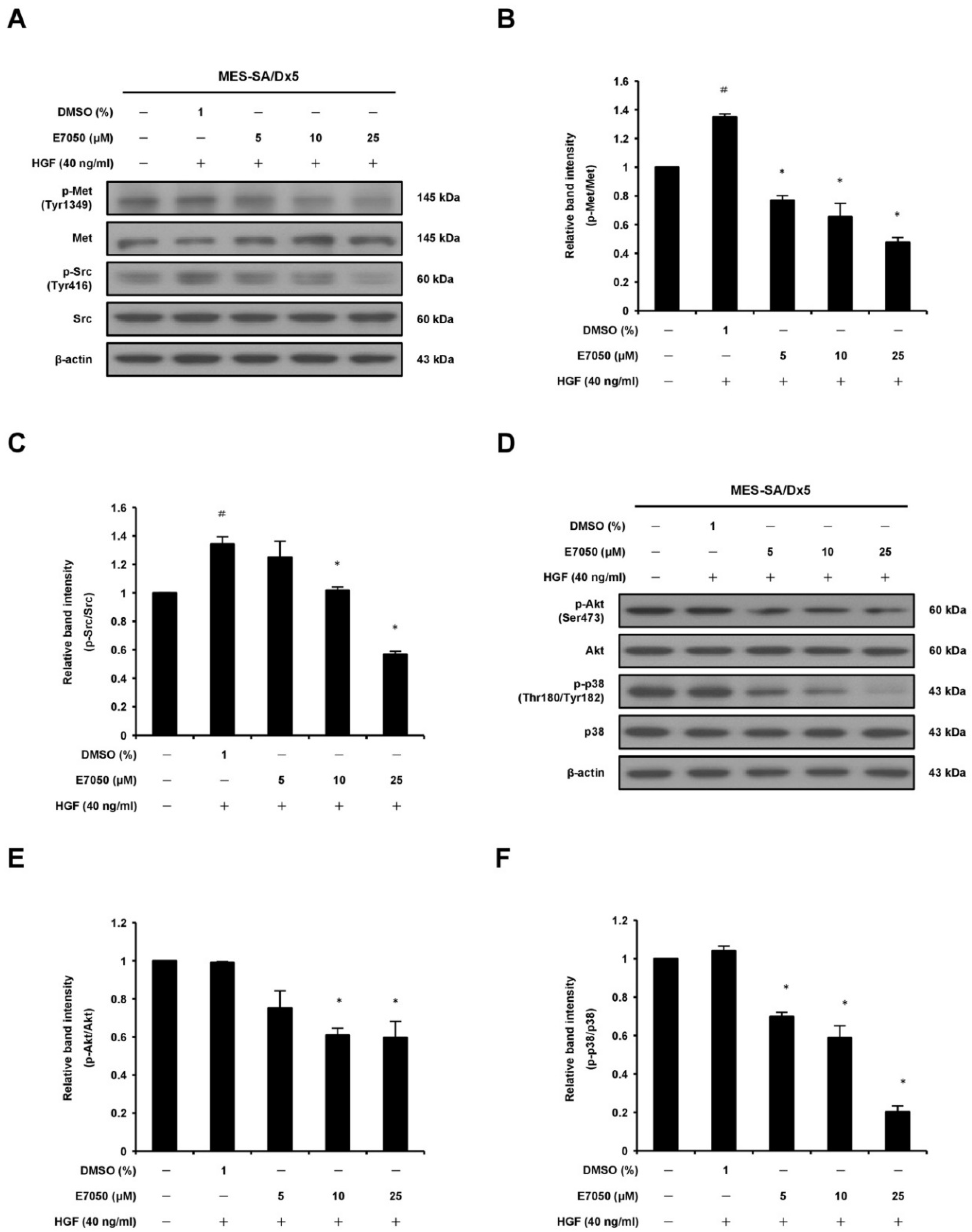 Ijms 23 14884 g005 Ijms 23 14884 g005