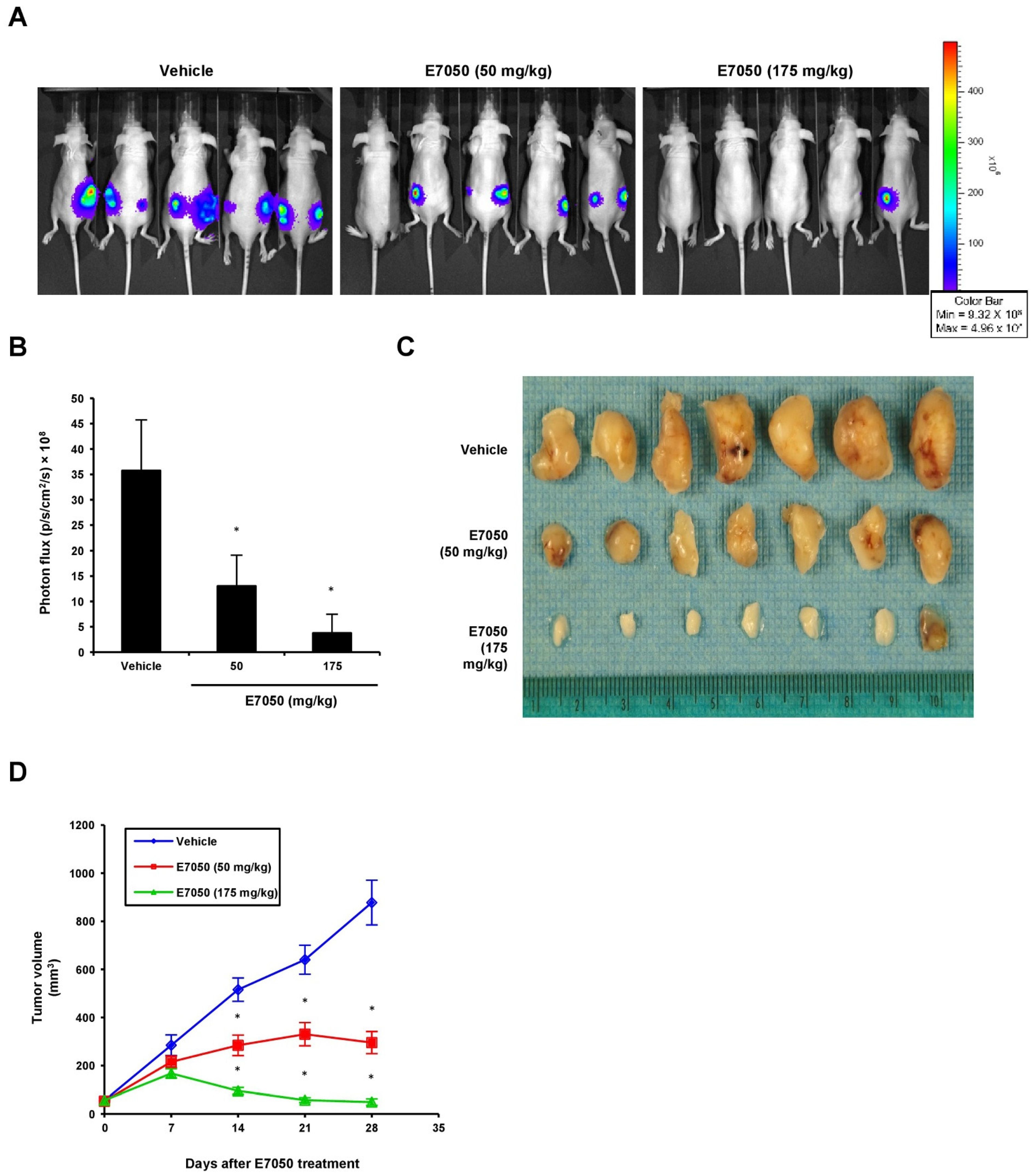 Ijms 23 14884 g006 Ijms 23 14884 g006