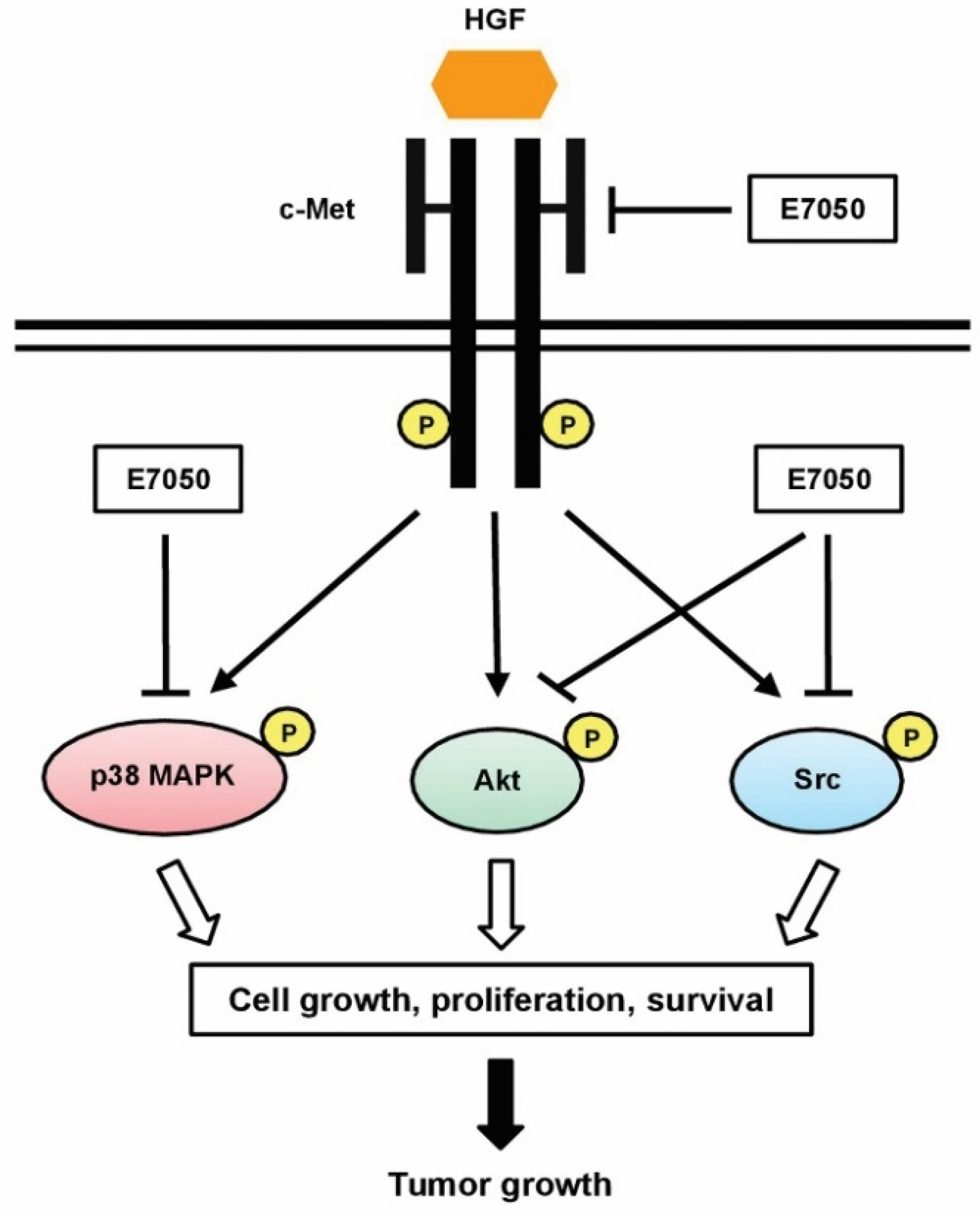 Ijms 23 14884 g008 Ijms 23 14884 g008