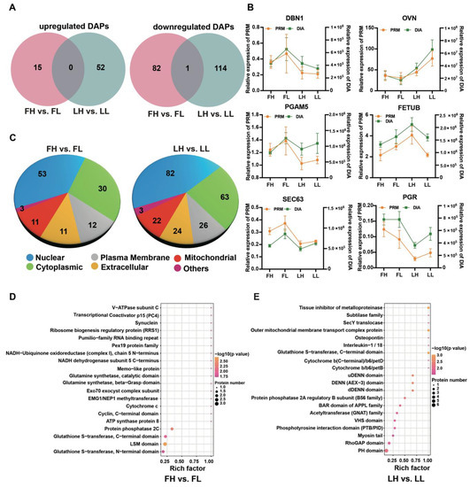 Integrative Proteomics and Transcriptomics Profiles of the