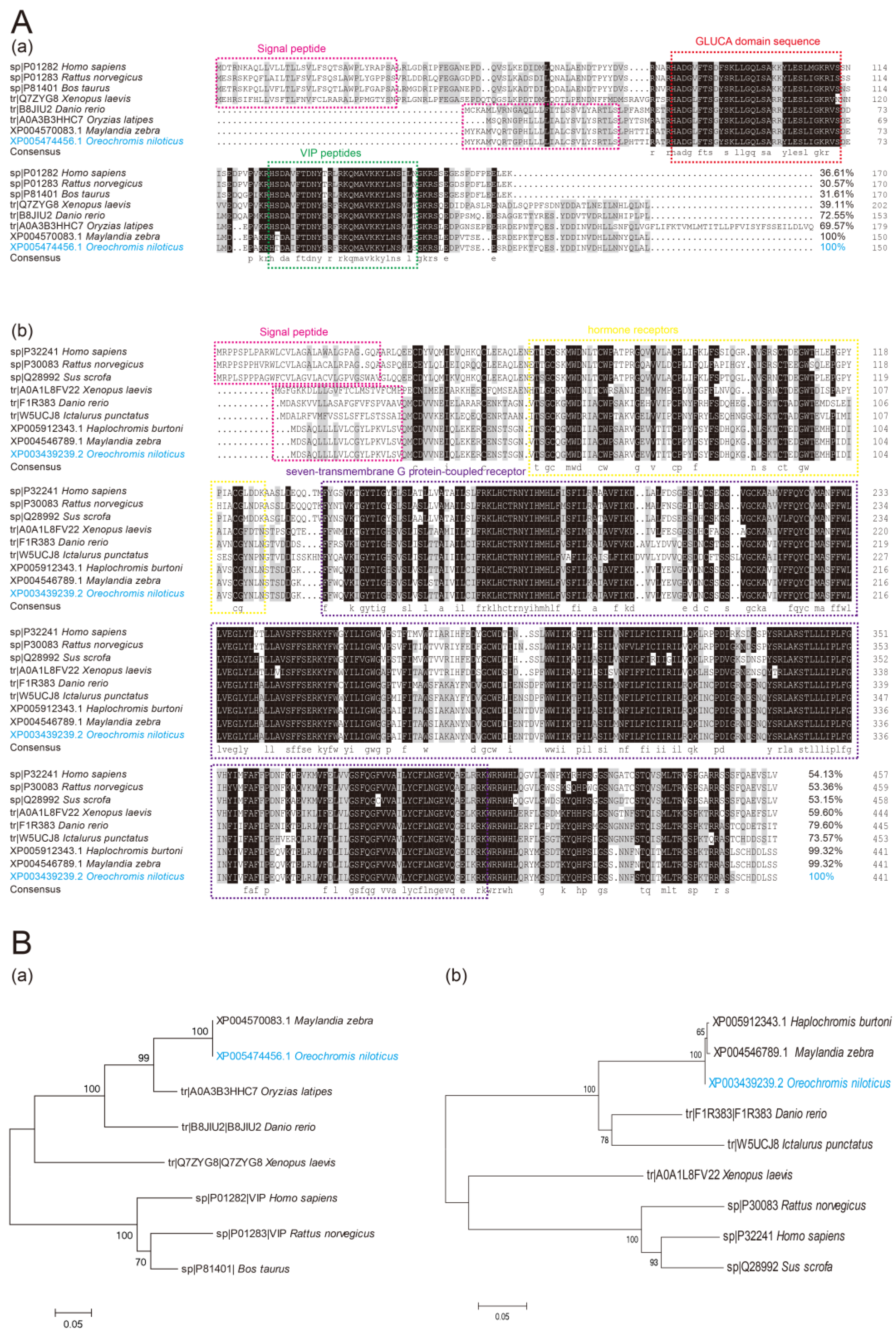 Frontiers | Muscle fiber necroptosis in pathophysiology of
