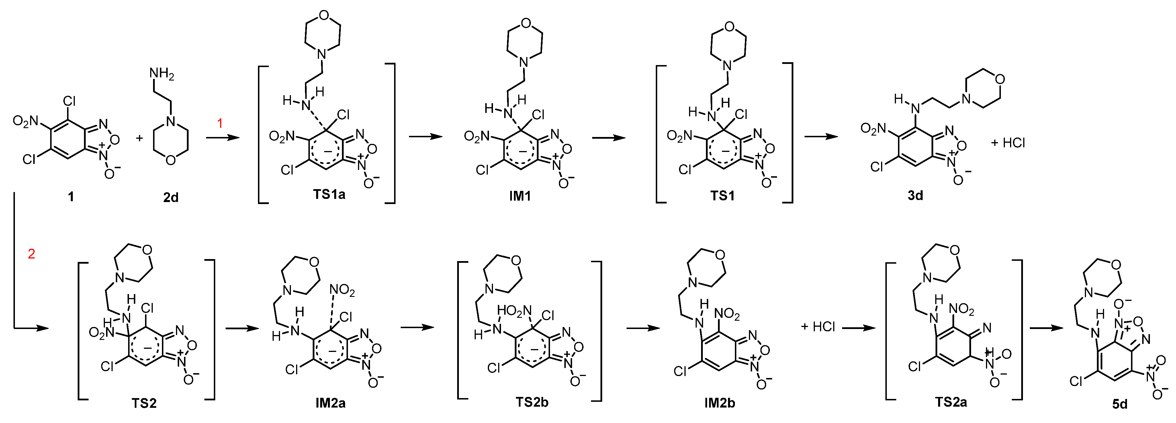Ijms 23 14902 sch003