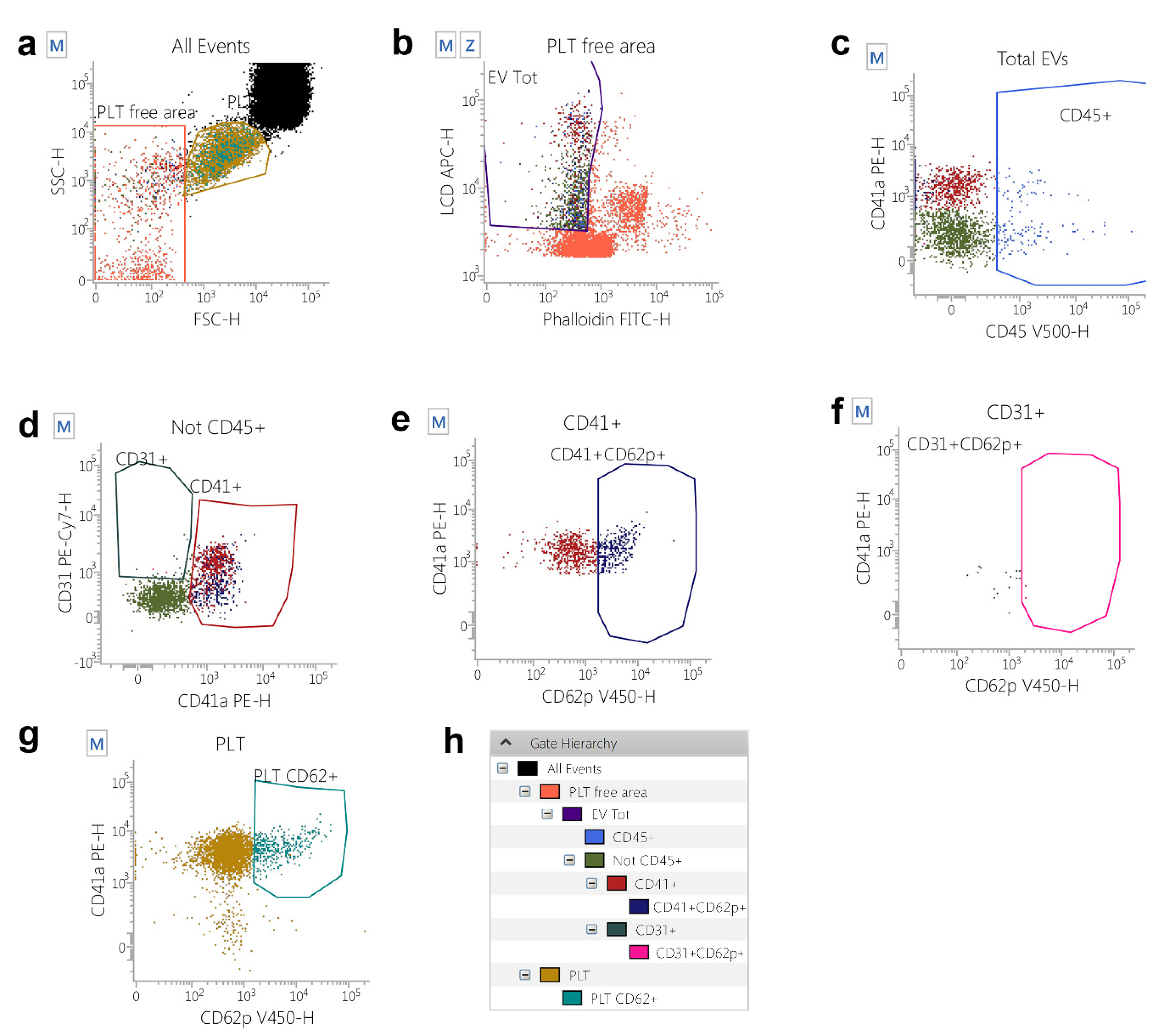 Ijms 23 14913 g001 Ijms 23 14913 g001