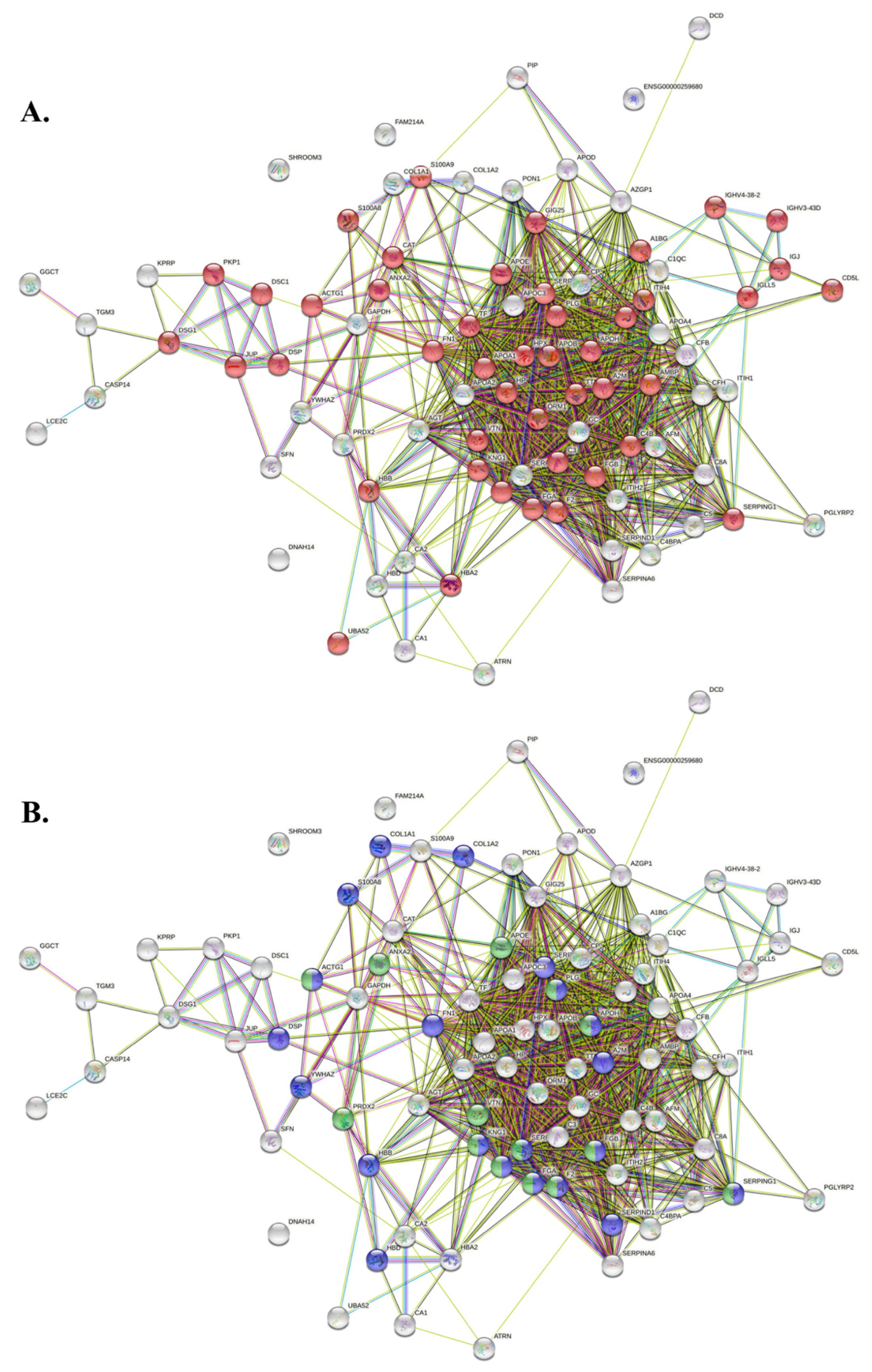 Ijms 23 14913 g005 Ijms 23 14913 g005