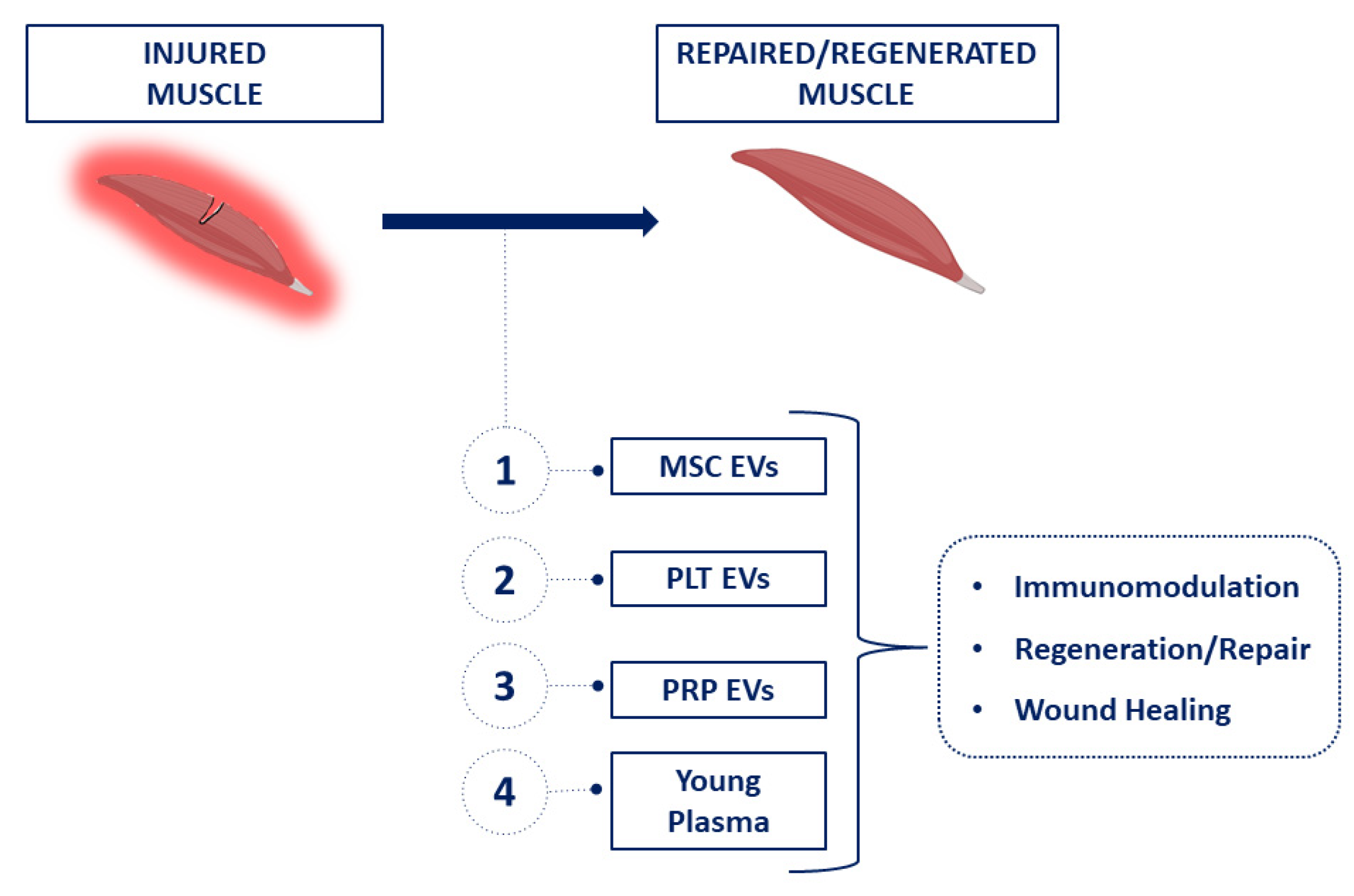 Ijms 23 14913 g006 Ijms 23 14913 g006