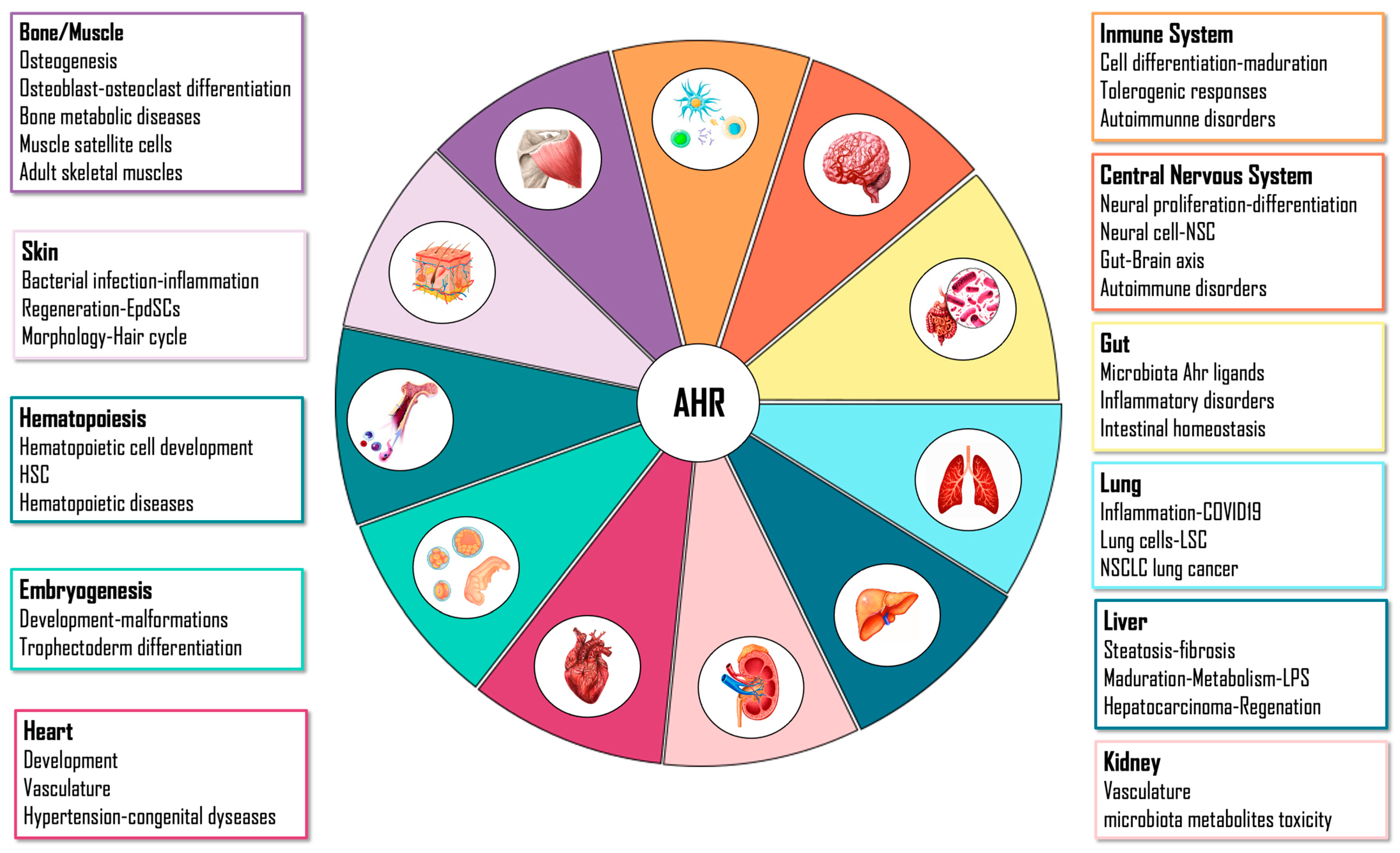 Ijms 23 14919 g002 Ijms 23 14919 g002