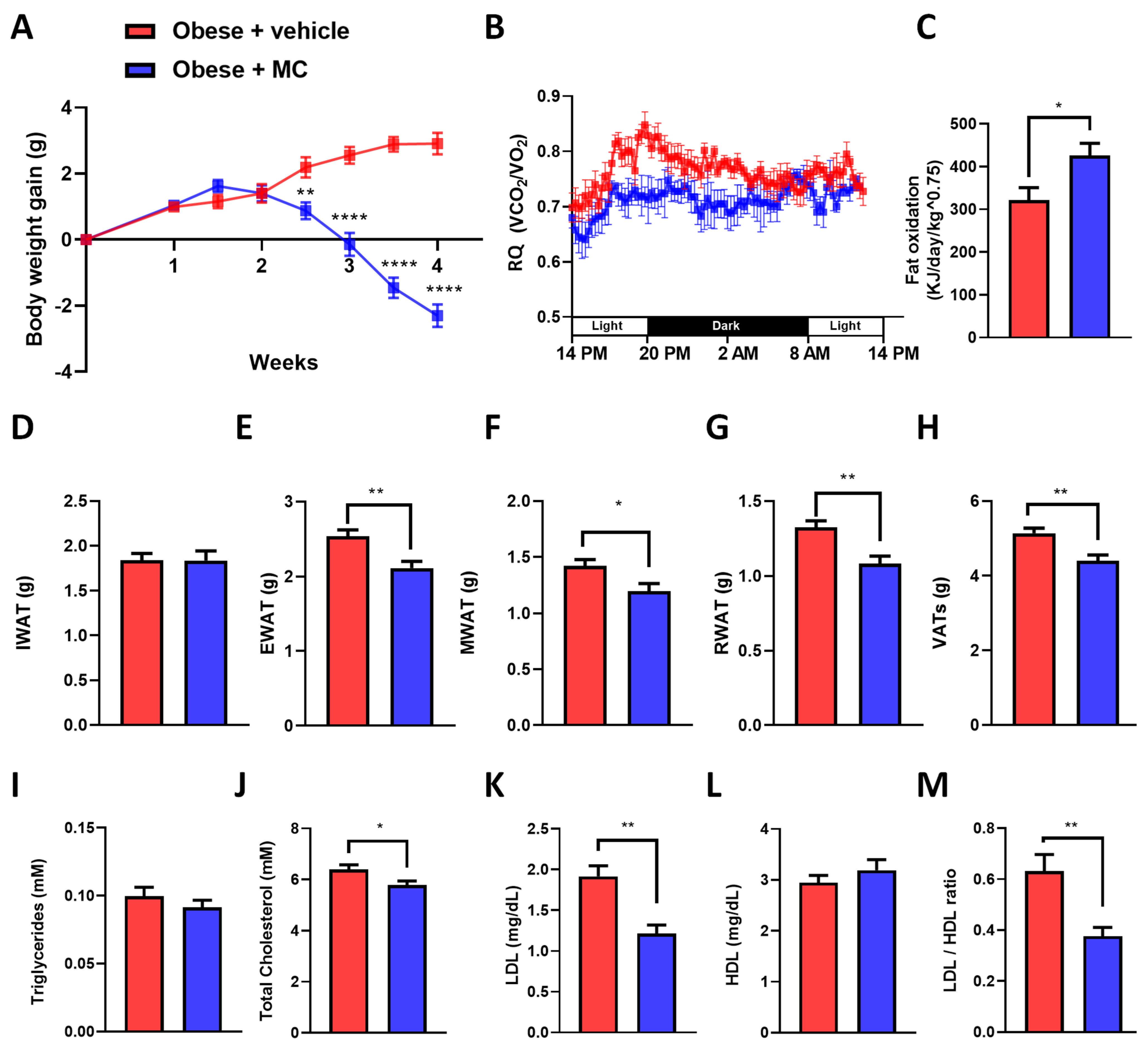 Ijms 23 14923 g001 Ijms 23 14923 g001