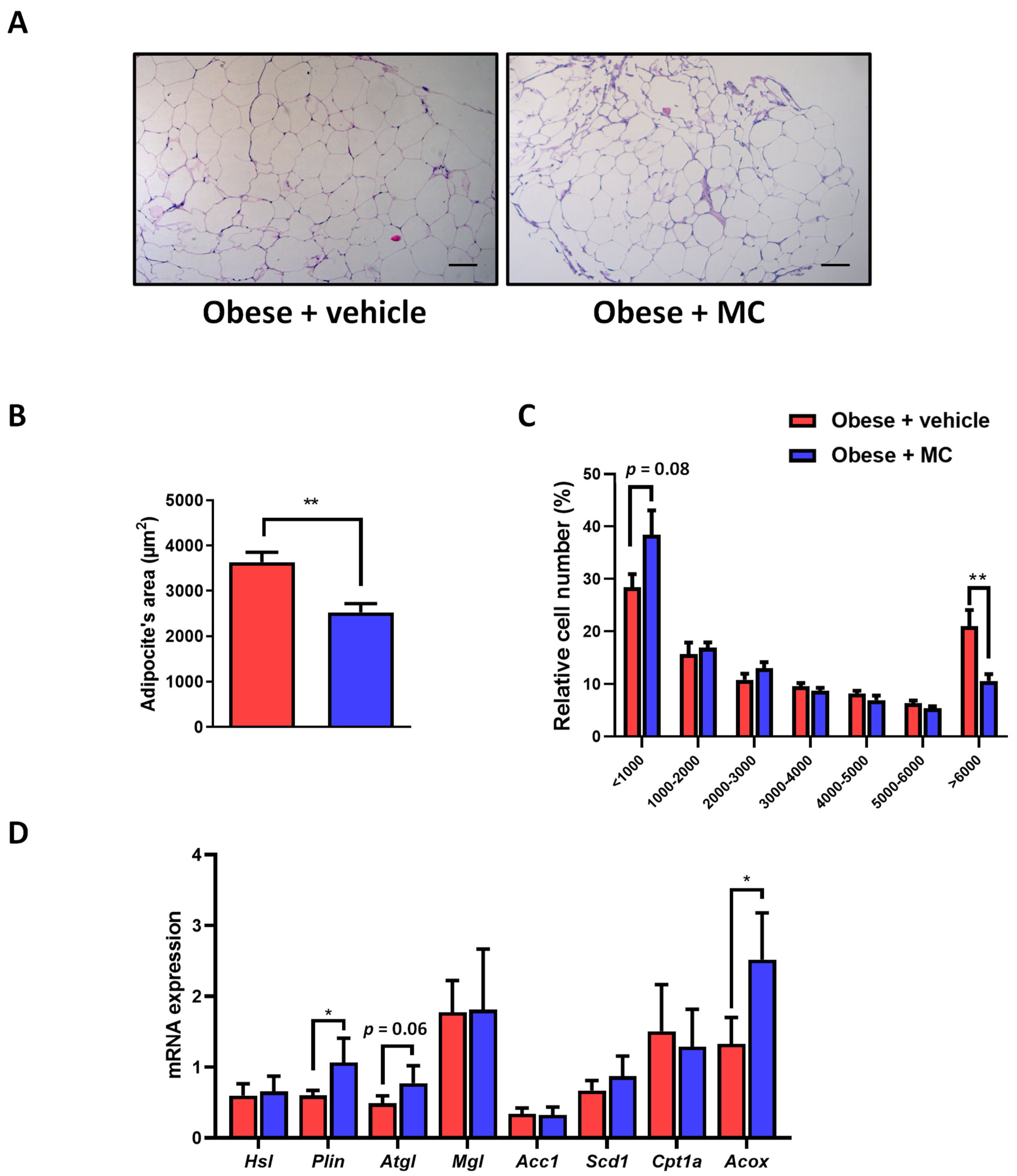 Ijms 23 14923 g002 Ijms 23 14923 g002