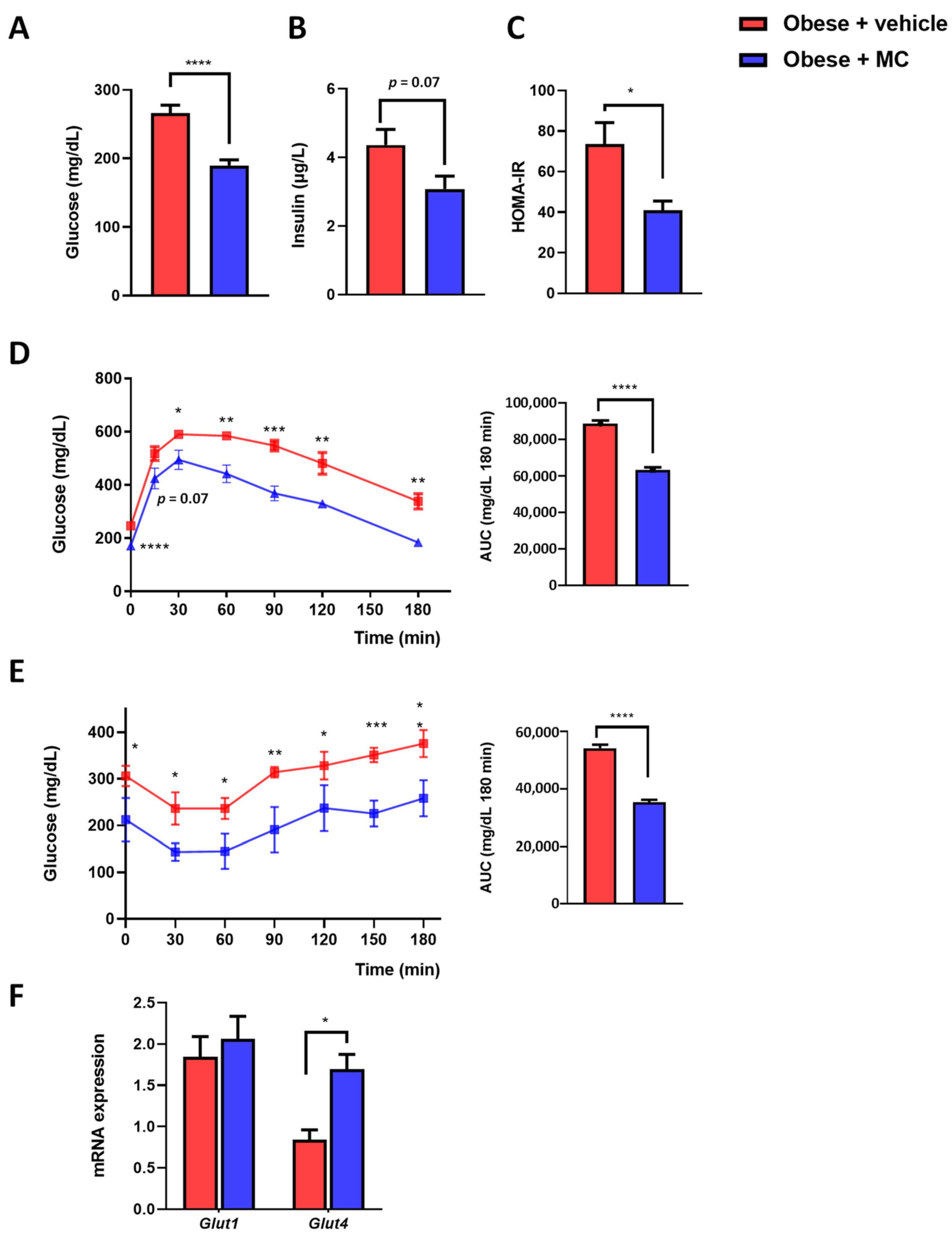 Ijms 23 14923 g003 Ijms 23 14923 g003