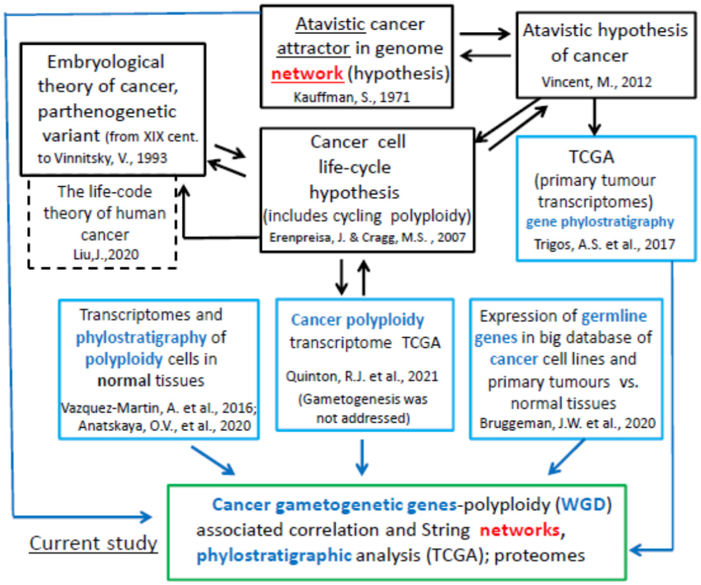 Ijms 23 14930 g001 Ijms 23 14930 g001