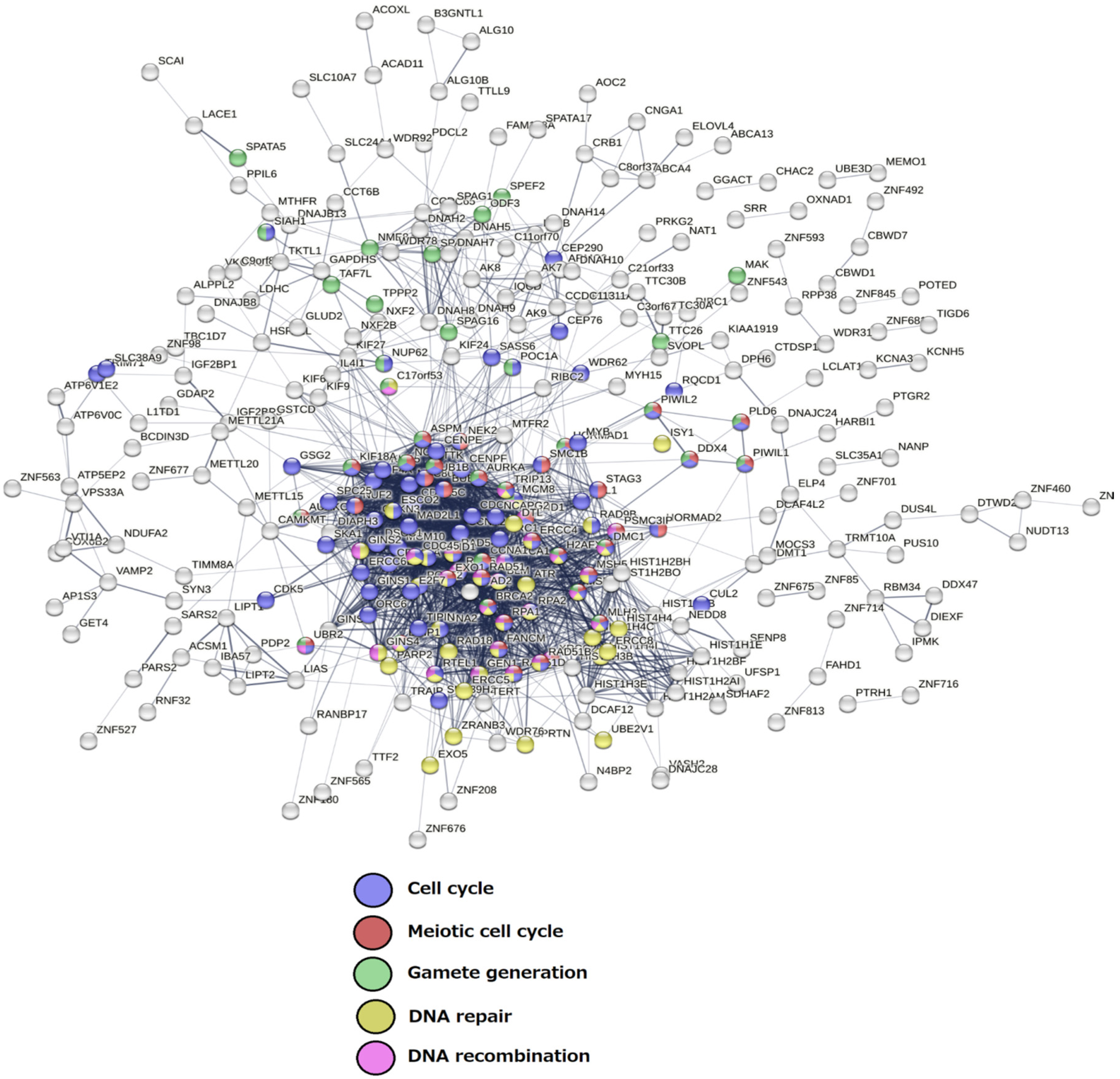 Ijms 23 14930 g003 Ijms 23 14930 g003